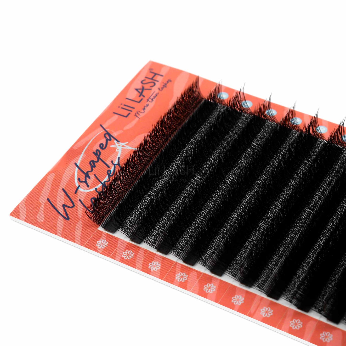 3D-W-lash-extension