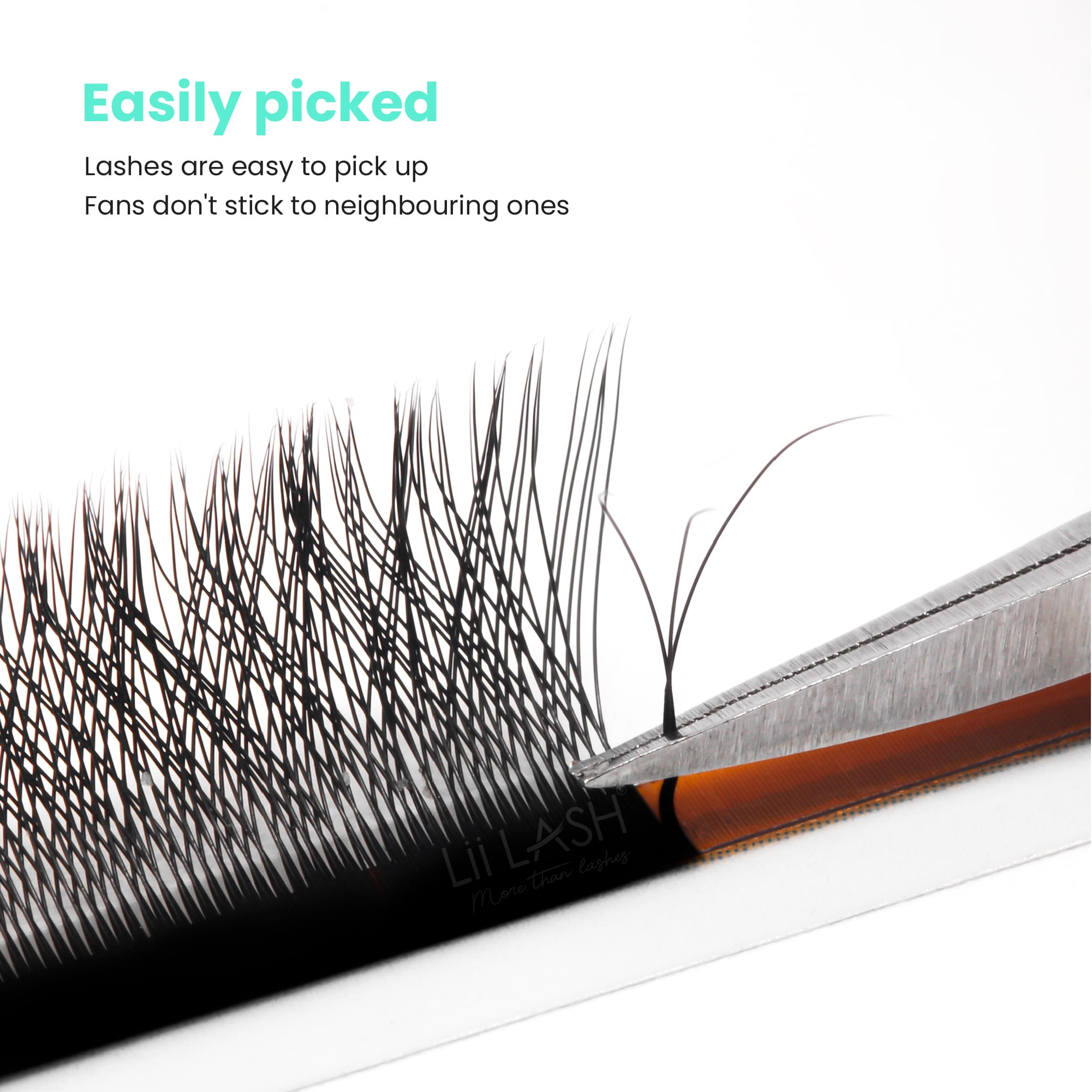 3DW-Lash-easily-picked-up