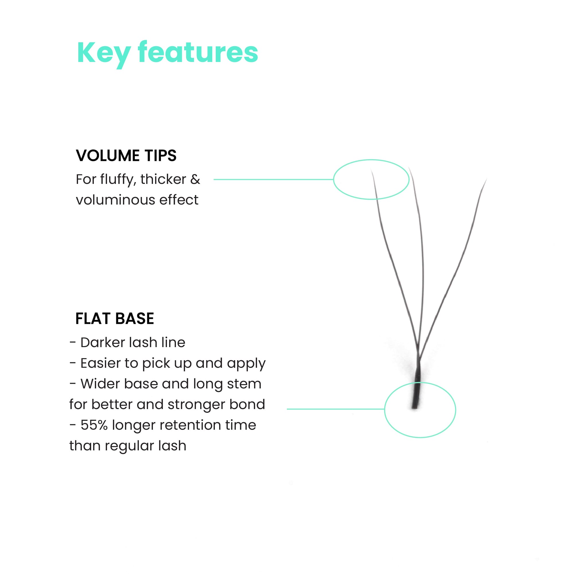 3DW-eylash-key-features