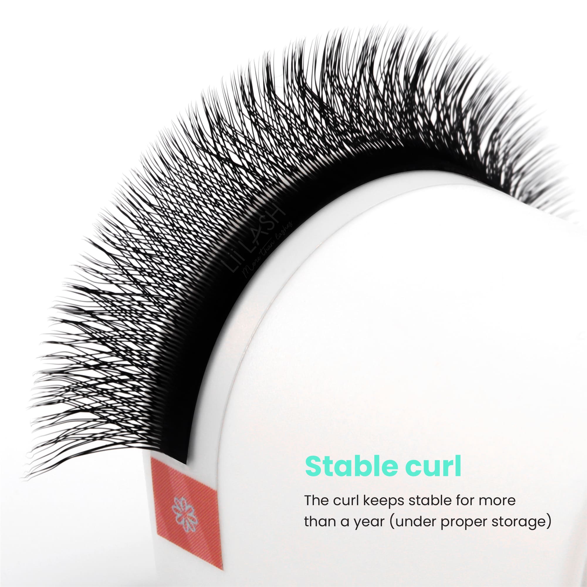 3DW-lash-extension-stable-curl