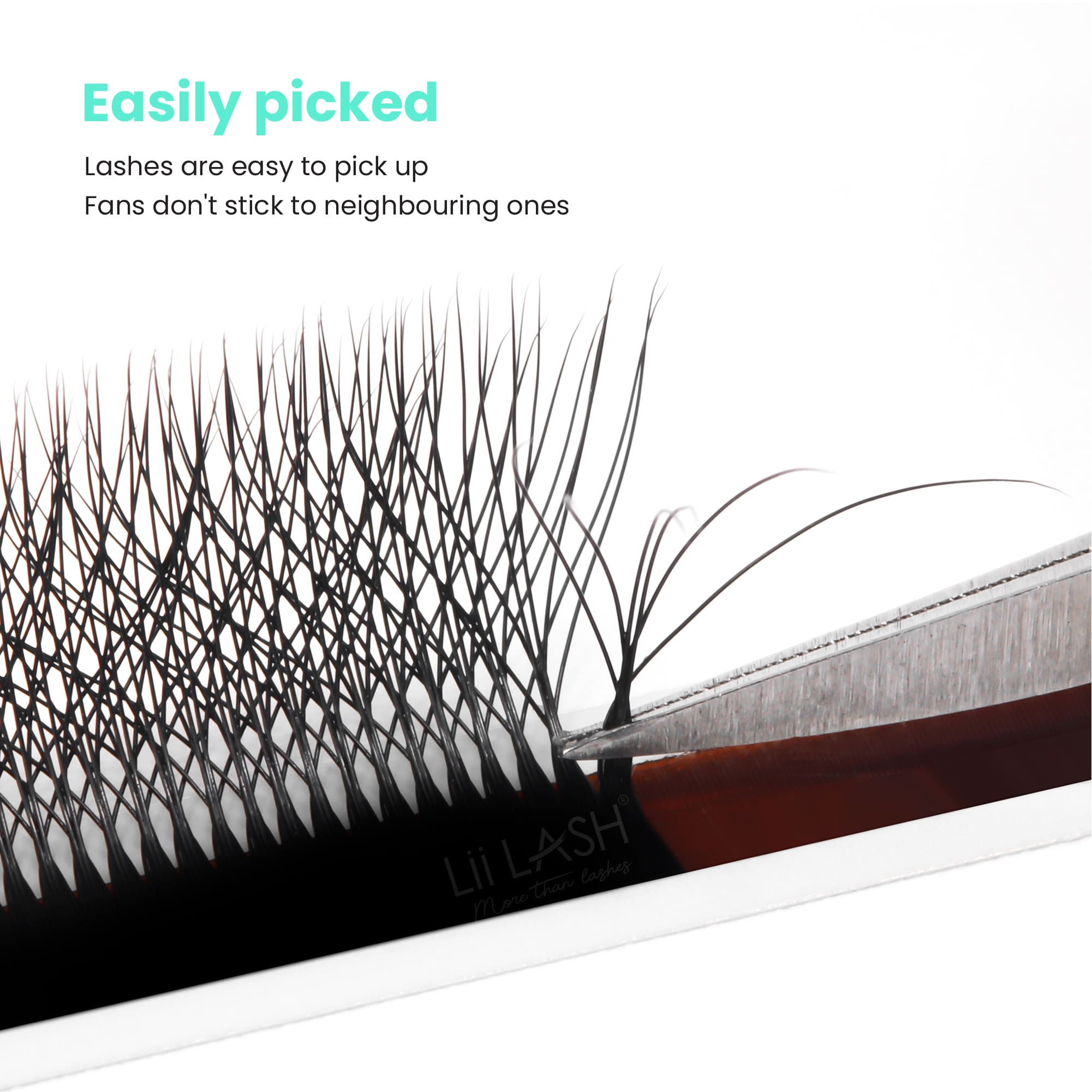 6D-W-Lash-easily-picked-up