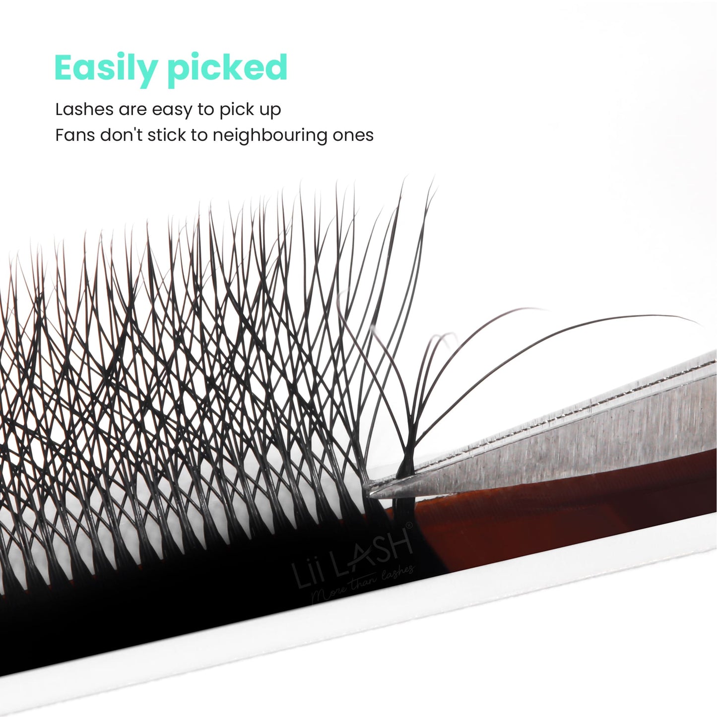 6D-W-Lash-easily-picked-up