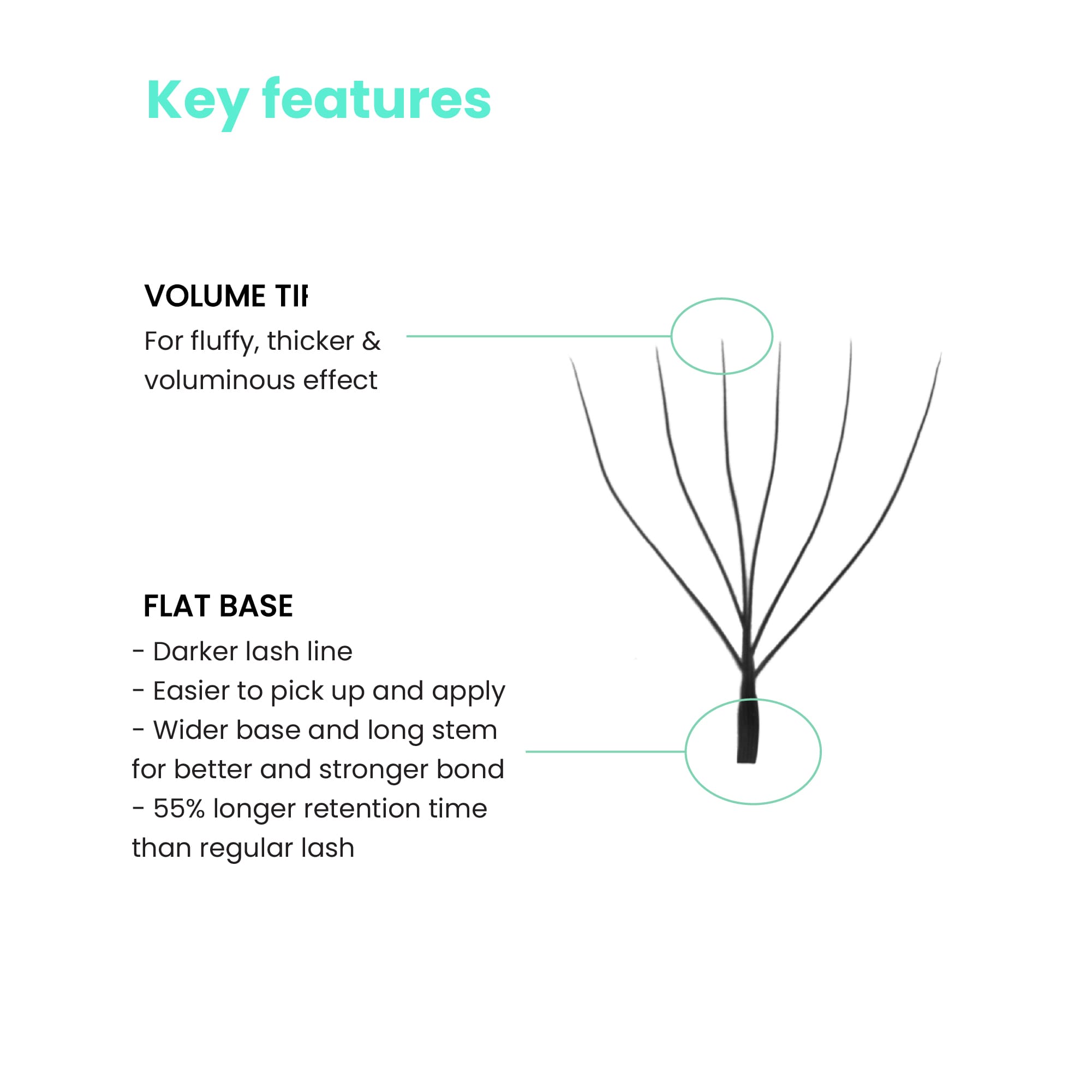 6D-W-eylash-key-features