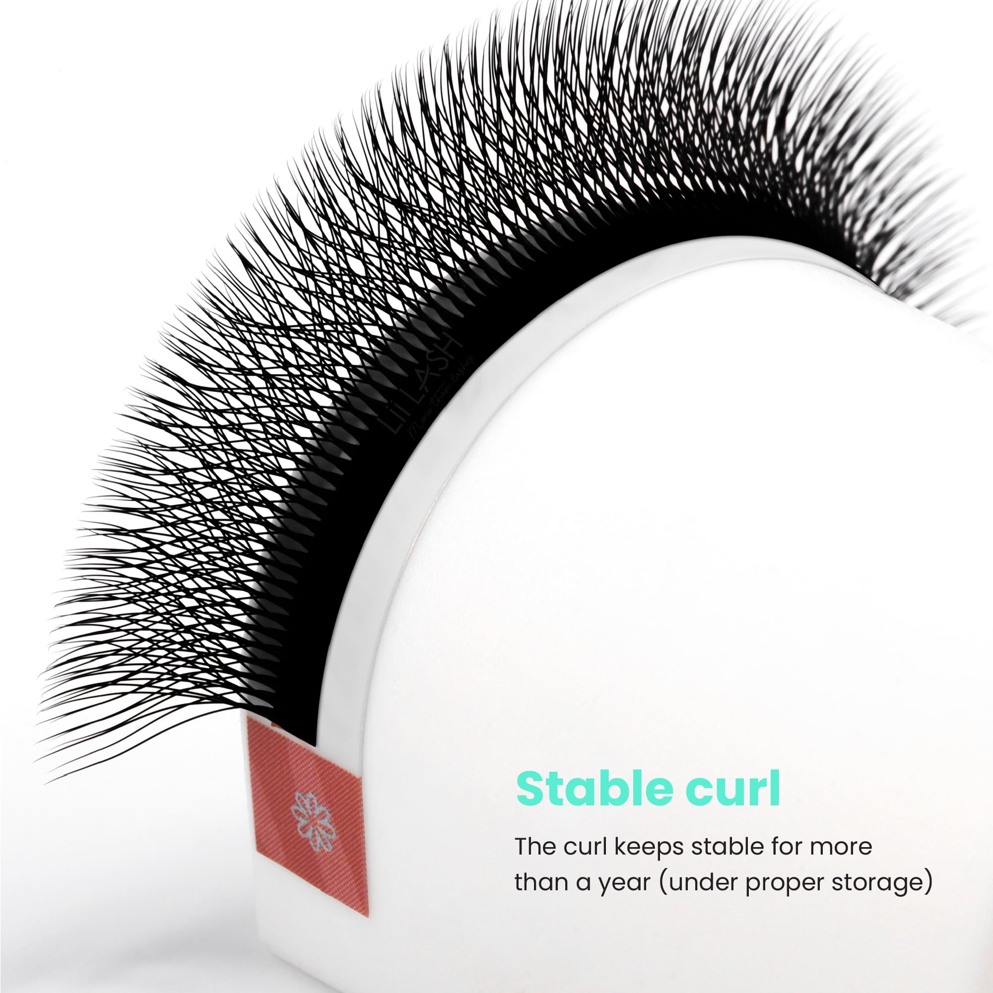 6D-W-lash-extension-stable-curl
