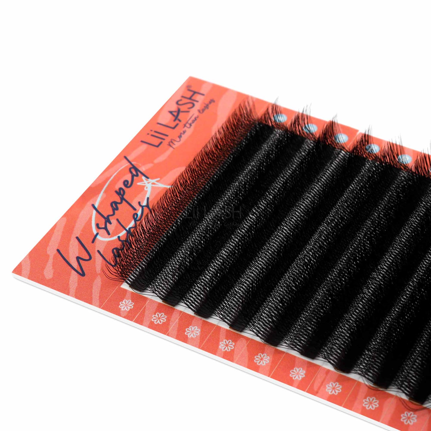6D-W-lash-extension