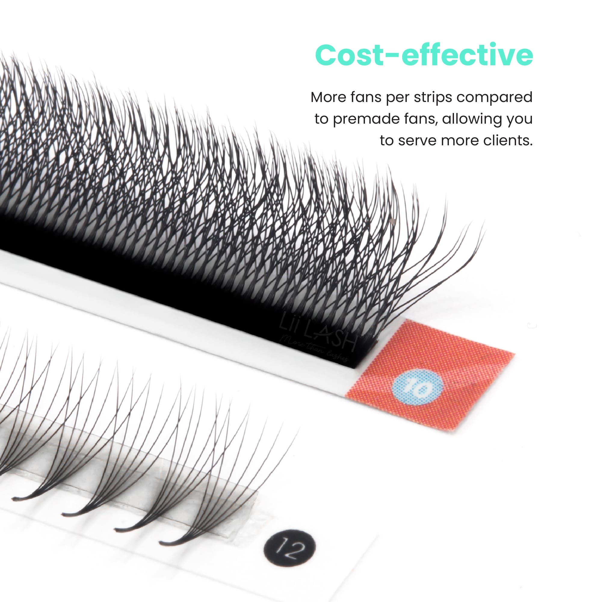 6D-W-lash-strip-vs-Premade-lash-strip
