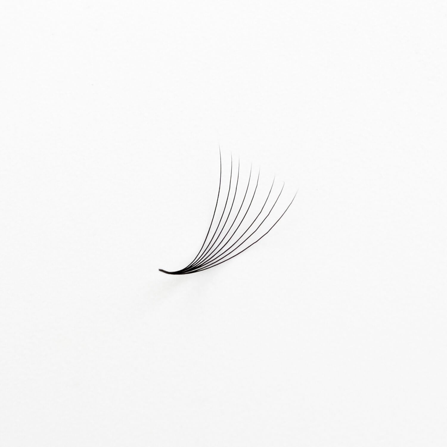 New 2026 Ultra Speed Fan Lash Box - Fresh Mosaic Packaging