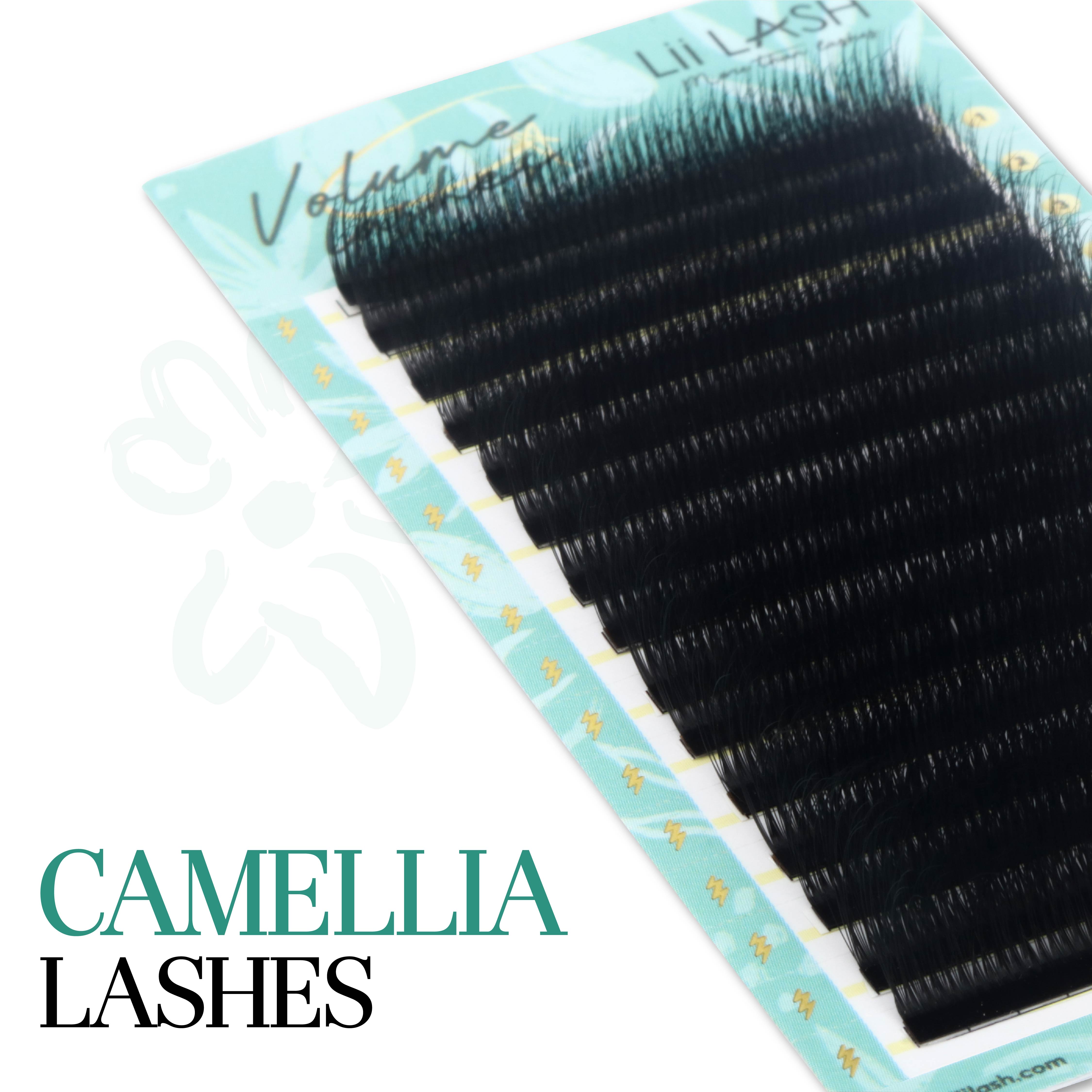 Camellia Lashes - New 3D Multi-Layer Lash Extensions by Lii Lash