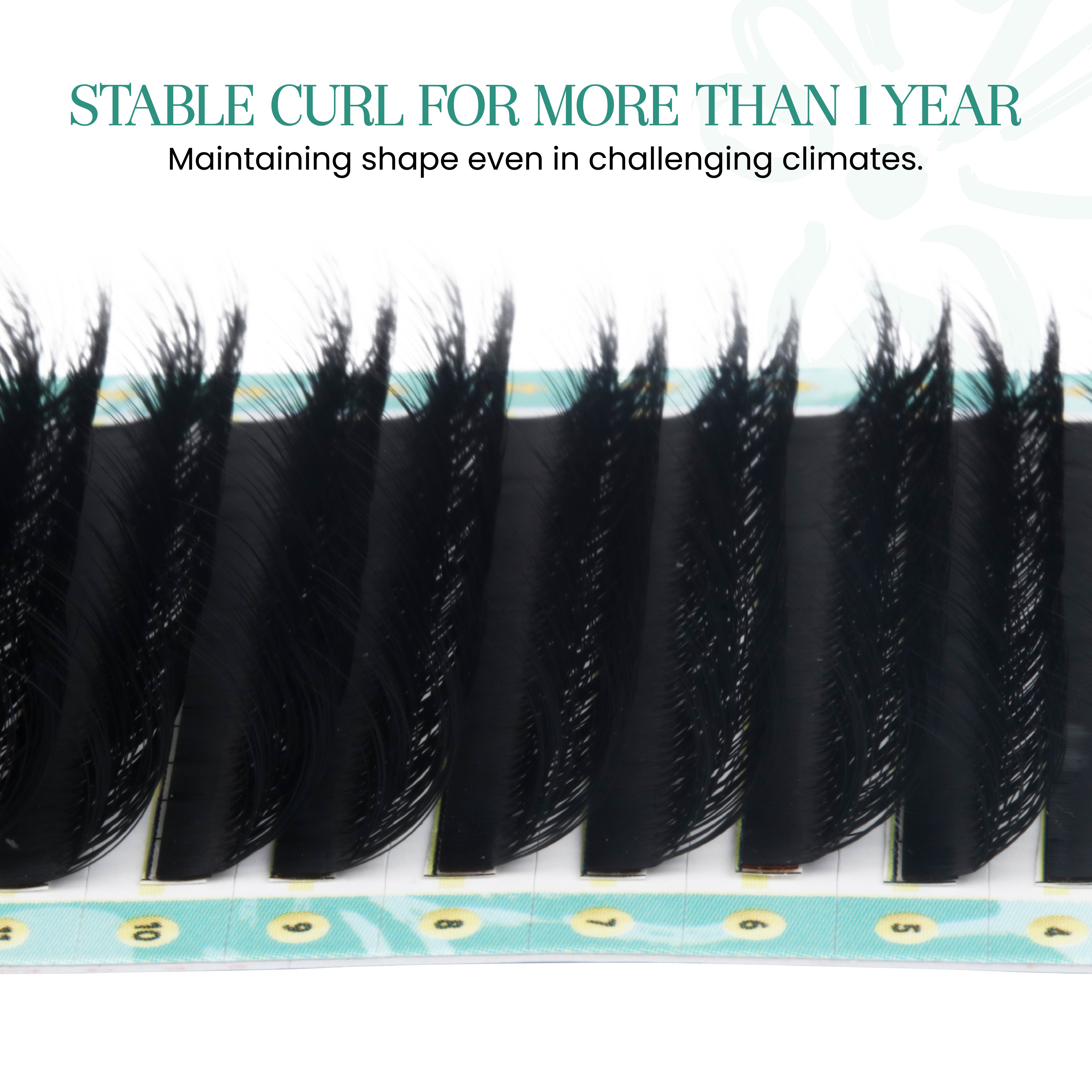 Tray of Camellia Lashes highlighting premium PBT fibers and expert craftsmanship