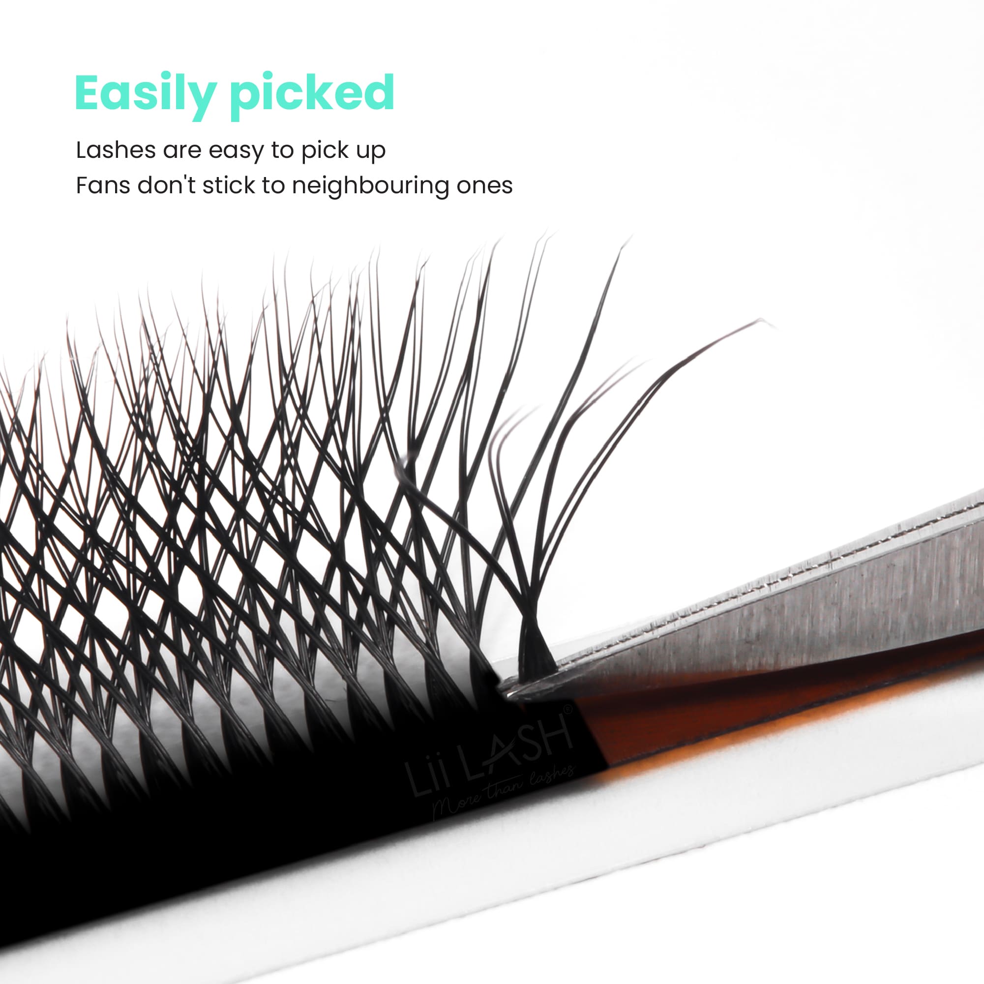 Double-4D-W-Lash-easily-picked-up