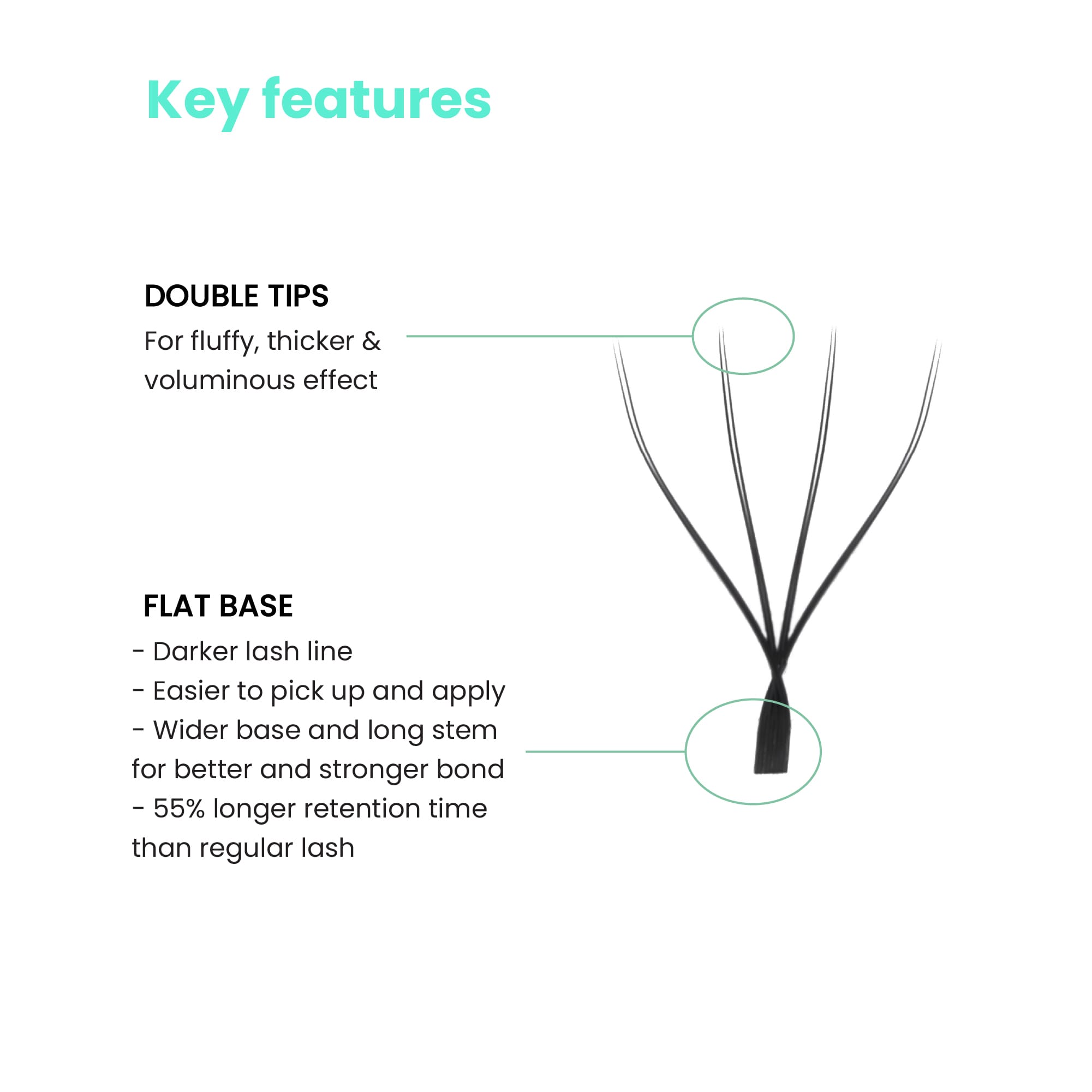 Double-4D-W-eylash-key-features