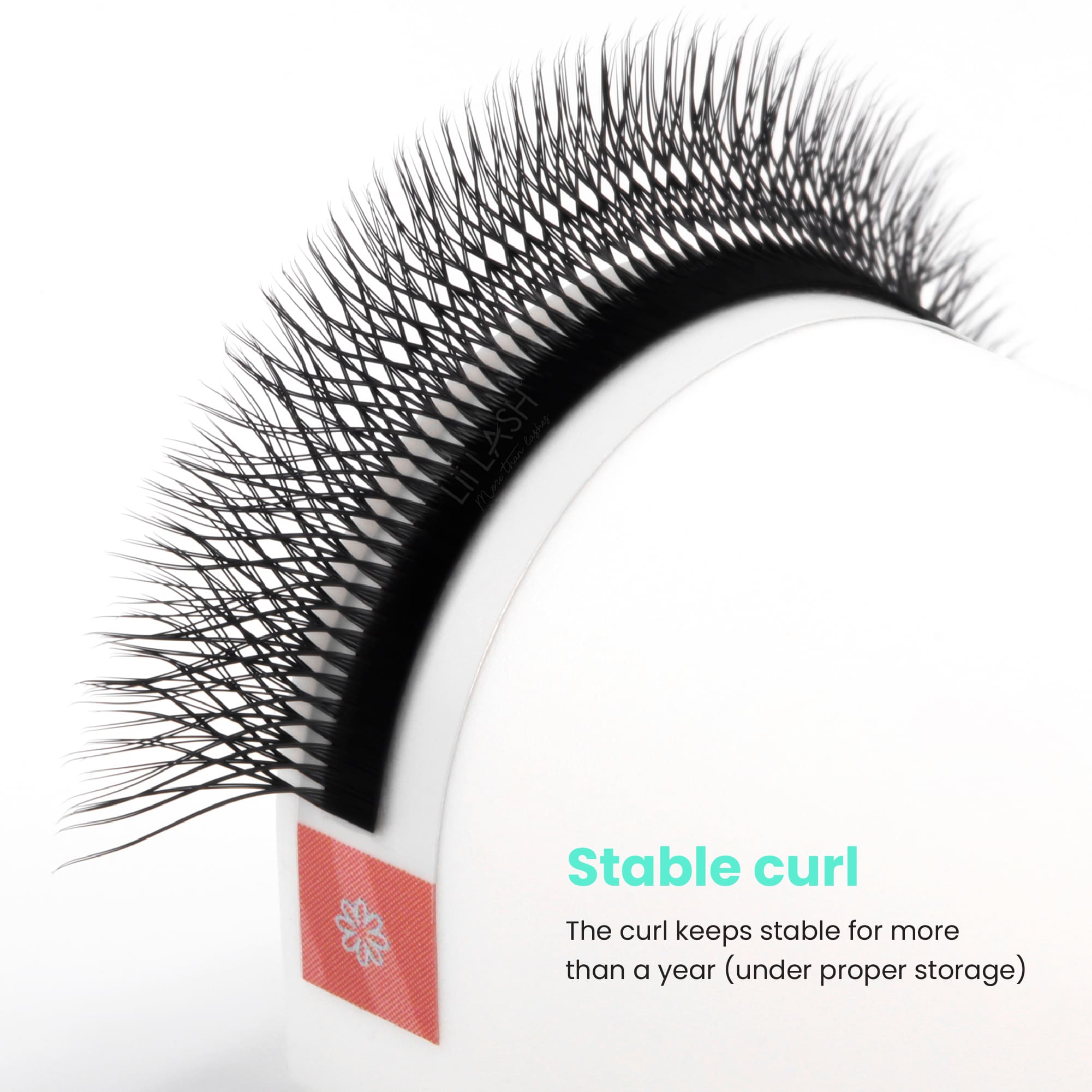 Double-4D-W-lash-extension-stable-curl