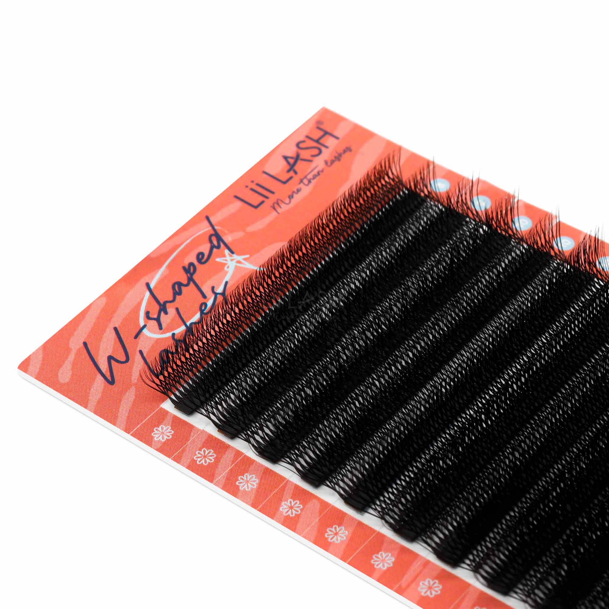 Double-4D-W-lash-extension