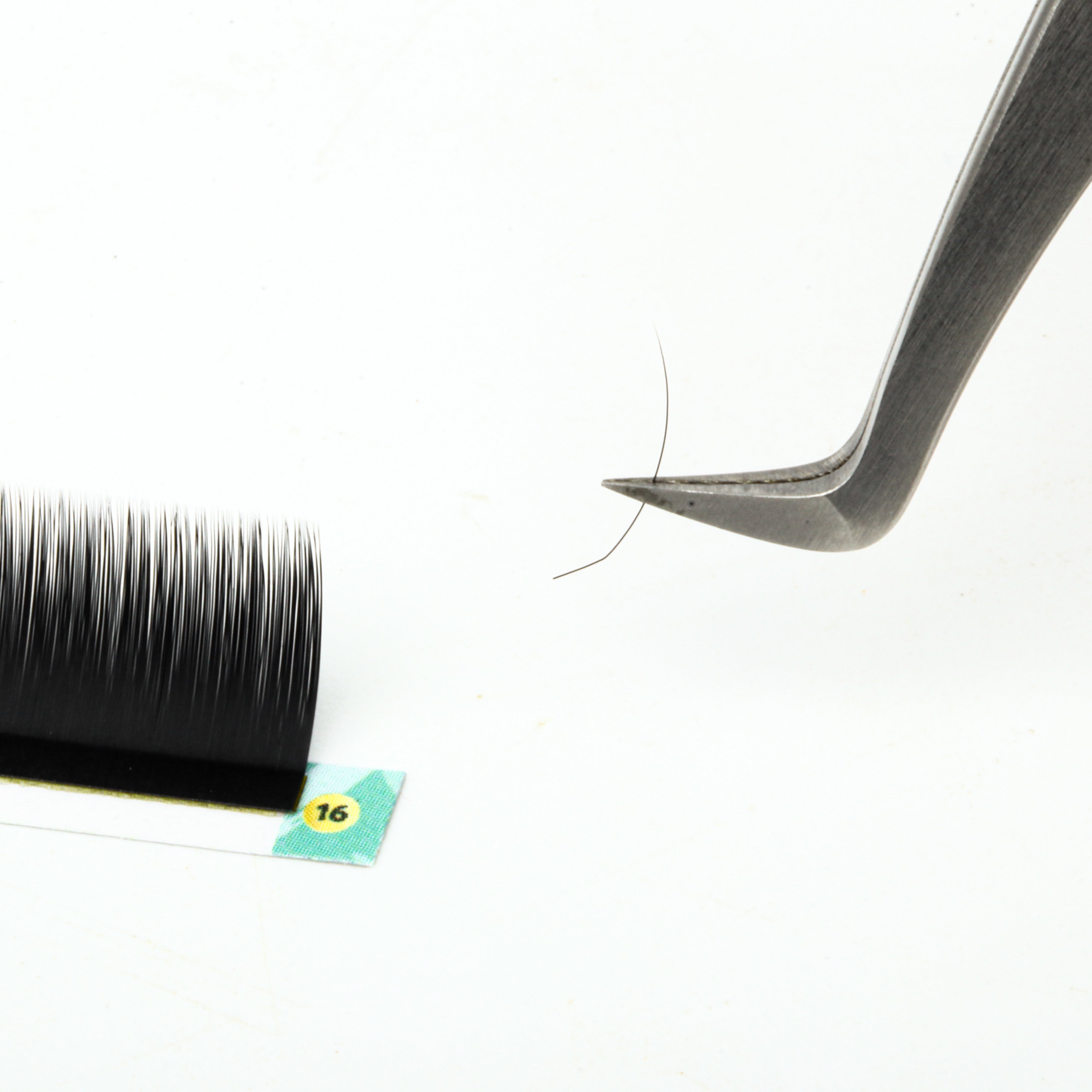 LB Curl Lash Extensions