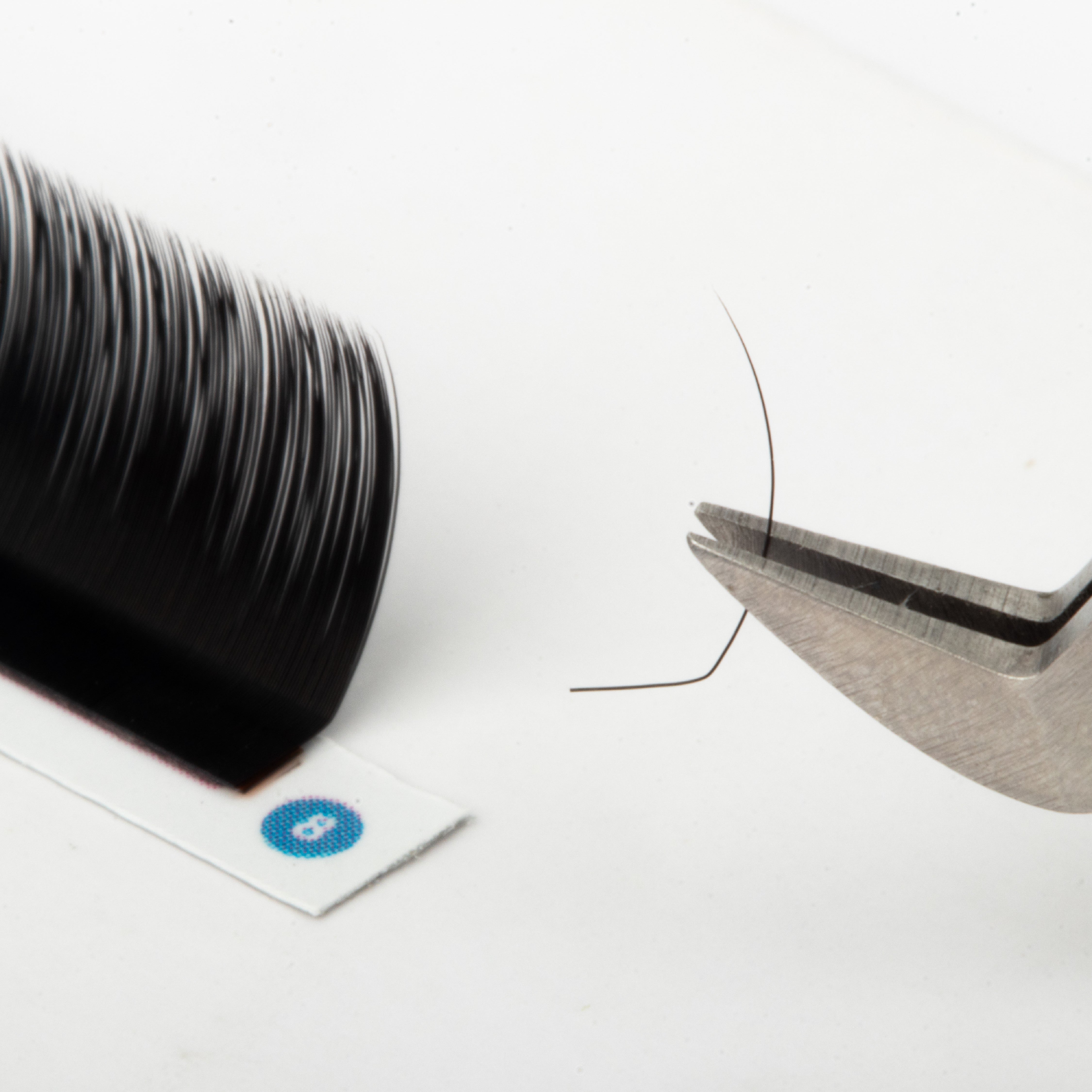 LC Curl Lash Extensions
