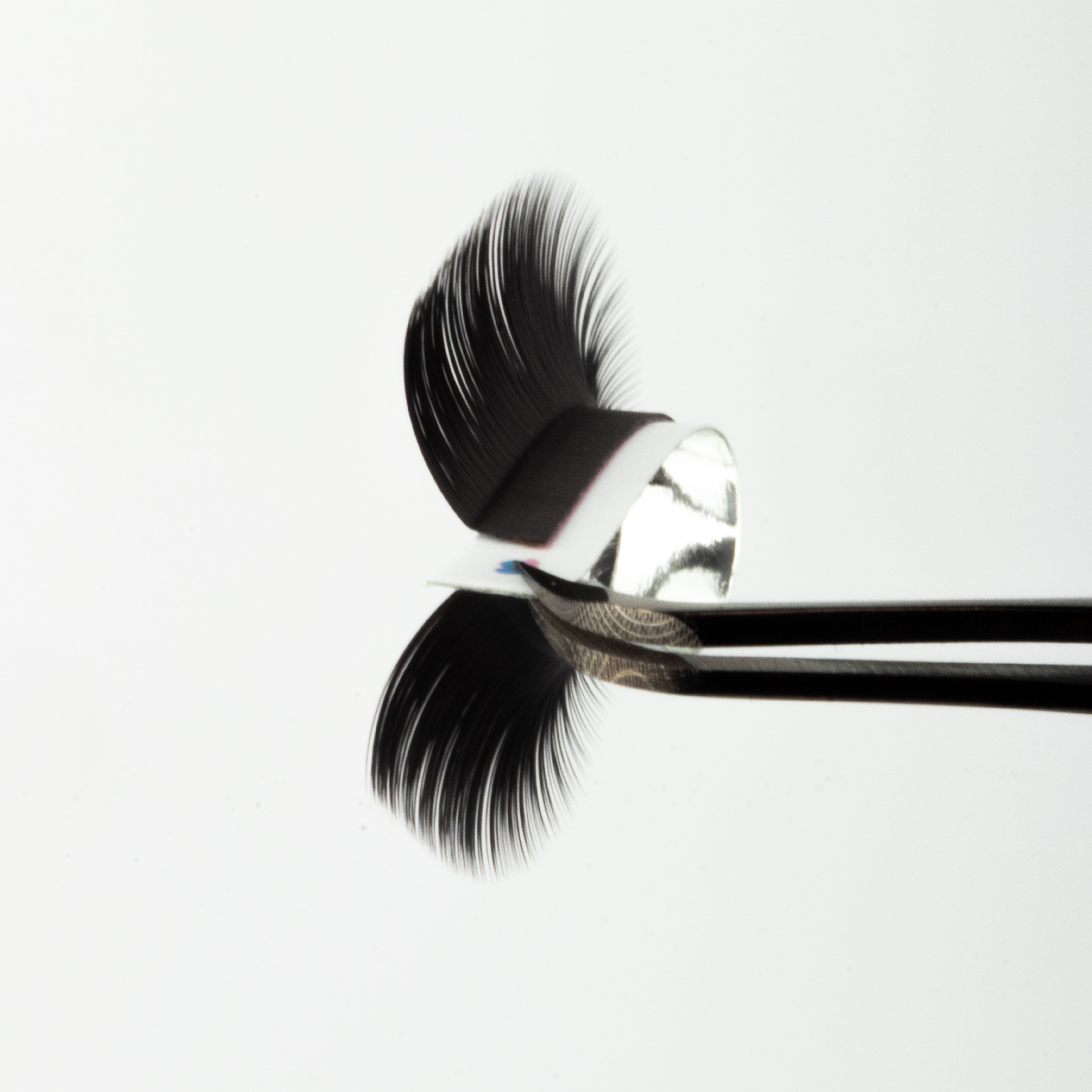 LC Curl Lash Extensions