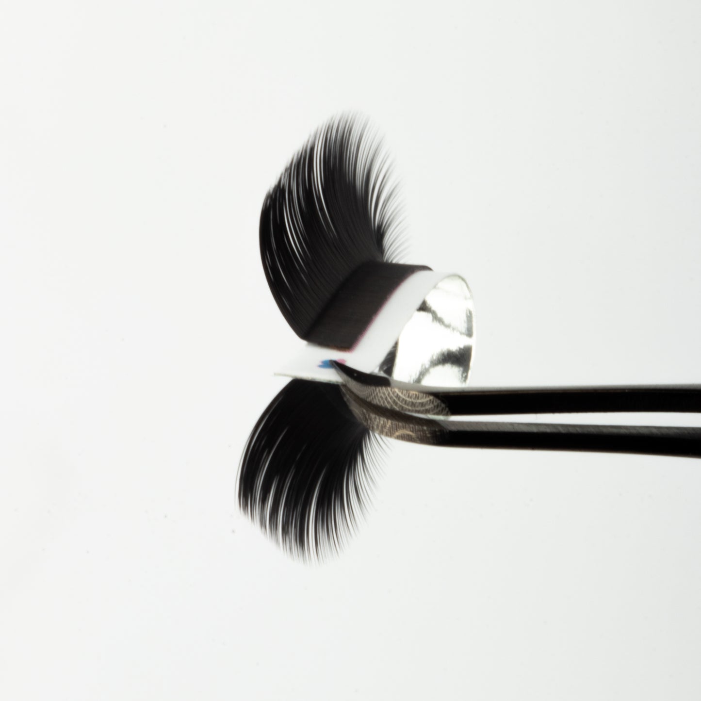 LC Curl Lash Extensions