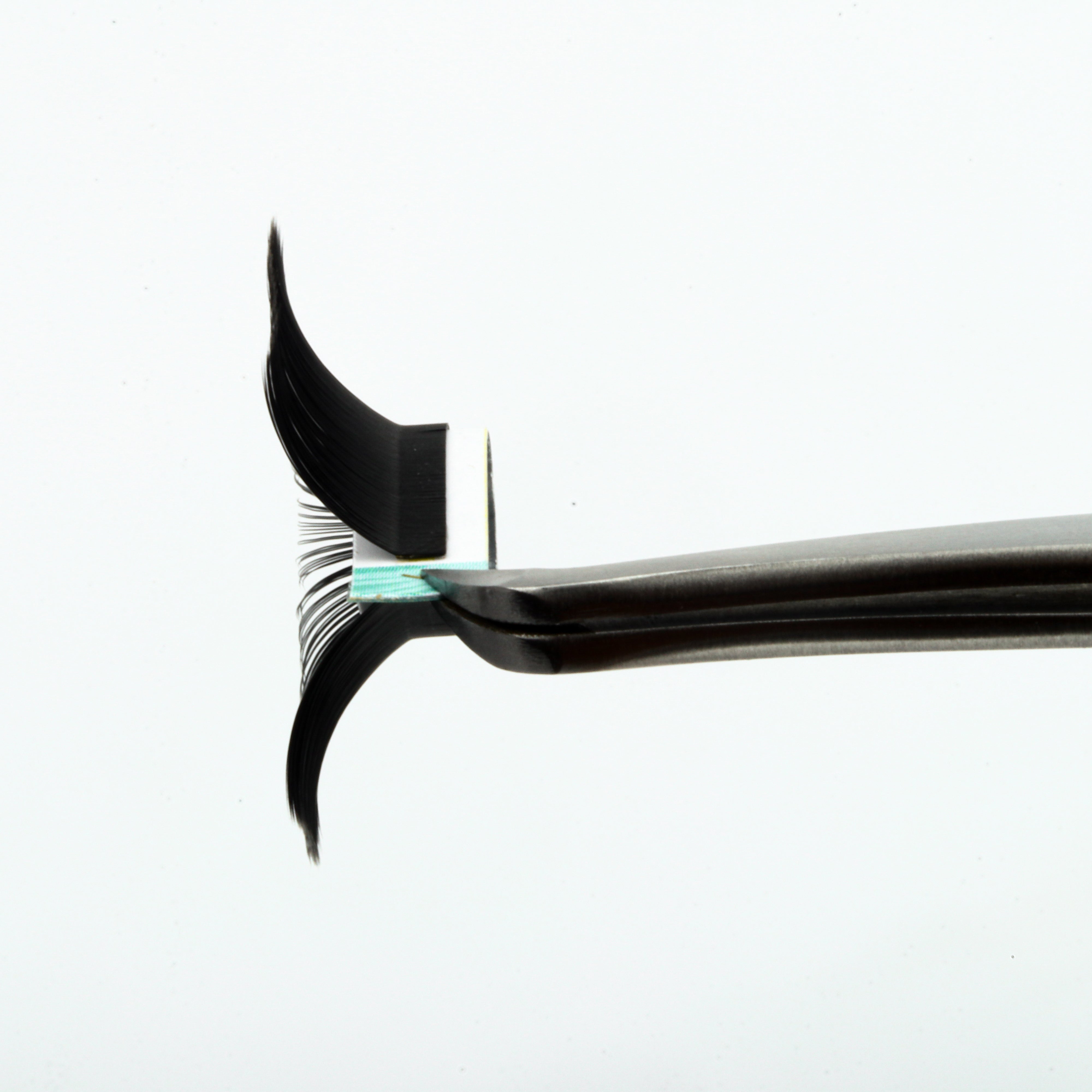 LC Curl Lash Extensions