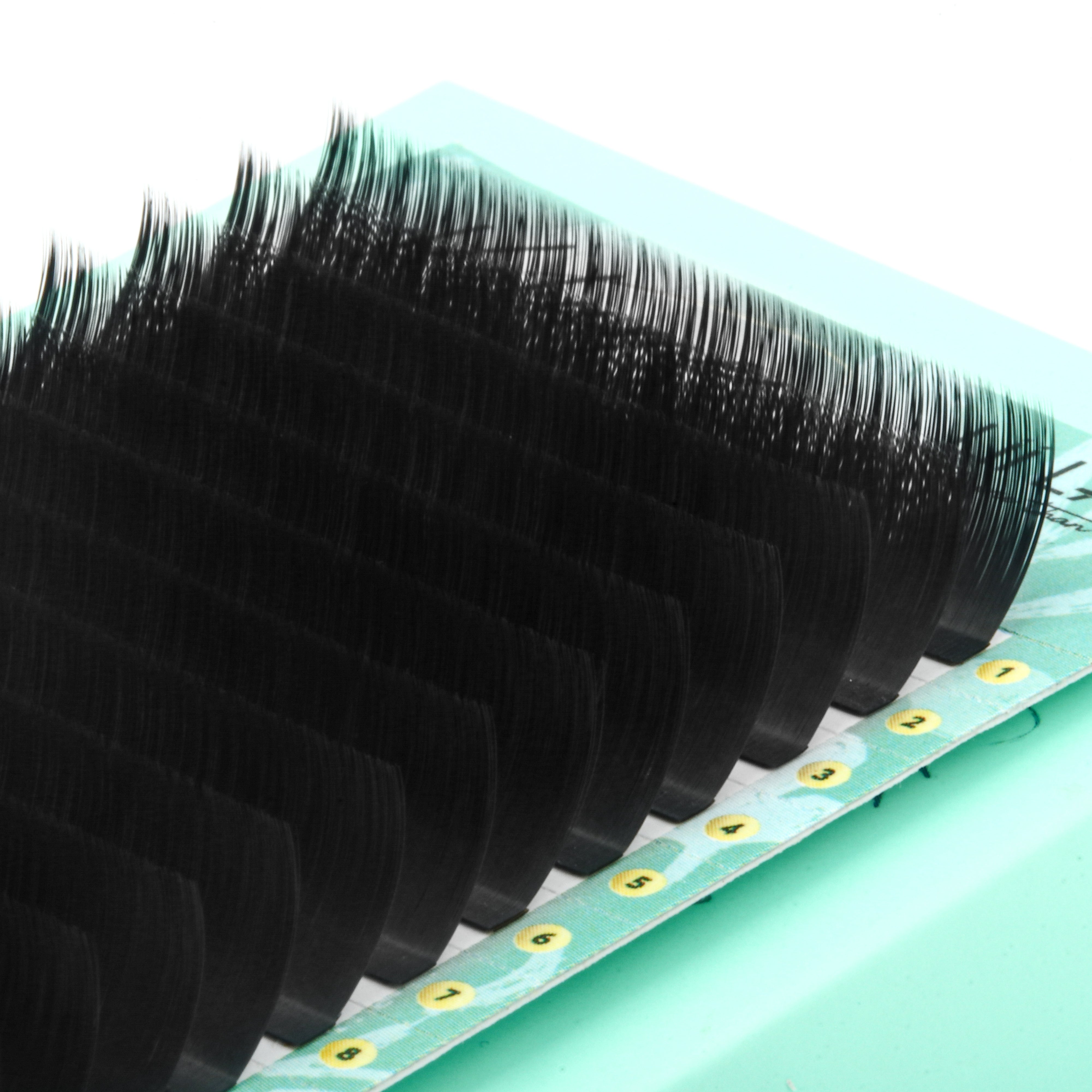 LC Curl Lash Extensions