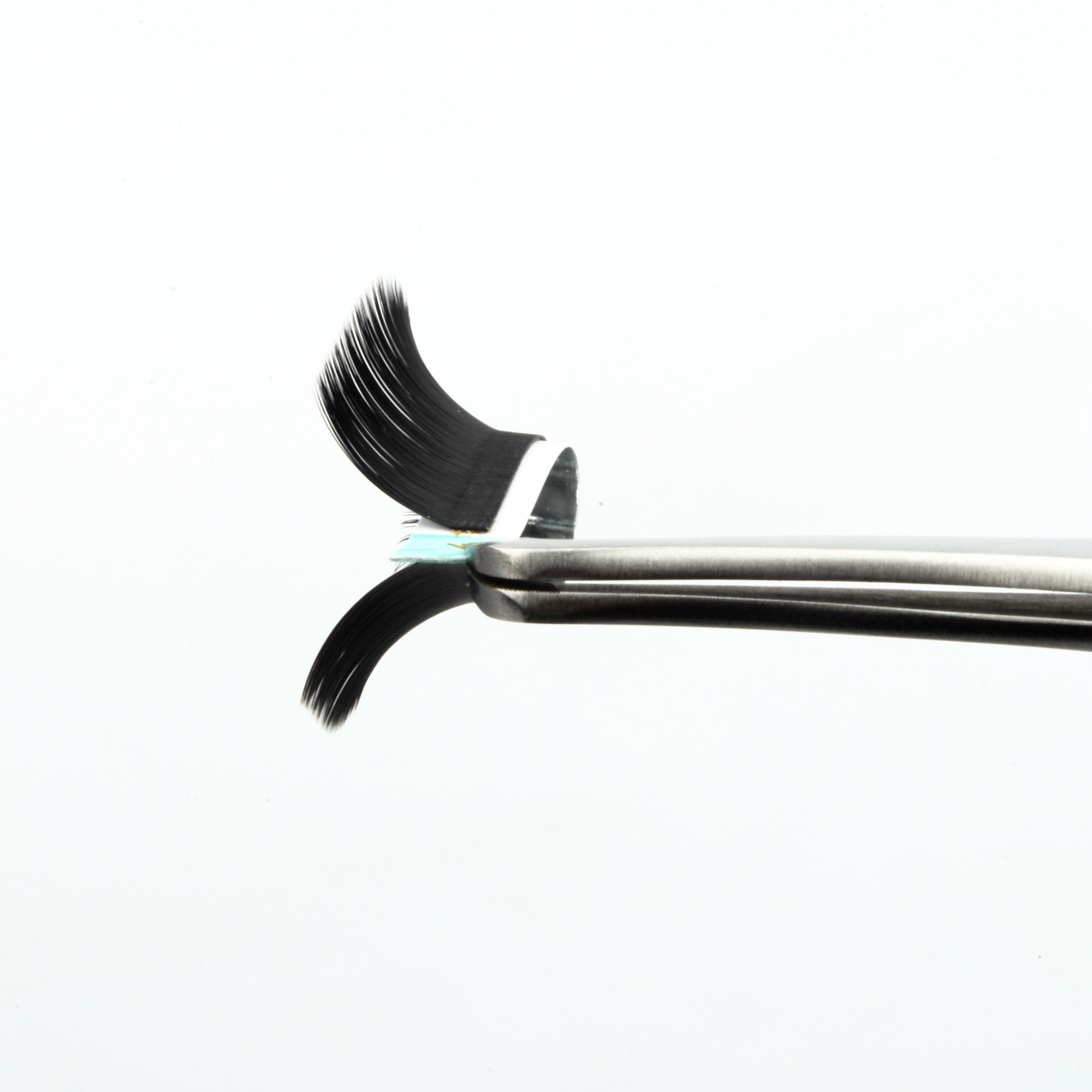 LJ Curl Lash Extensions