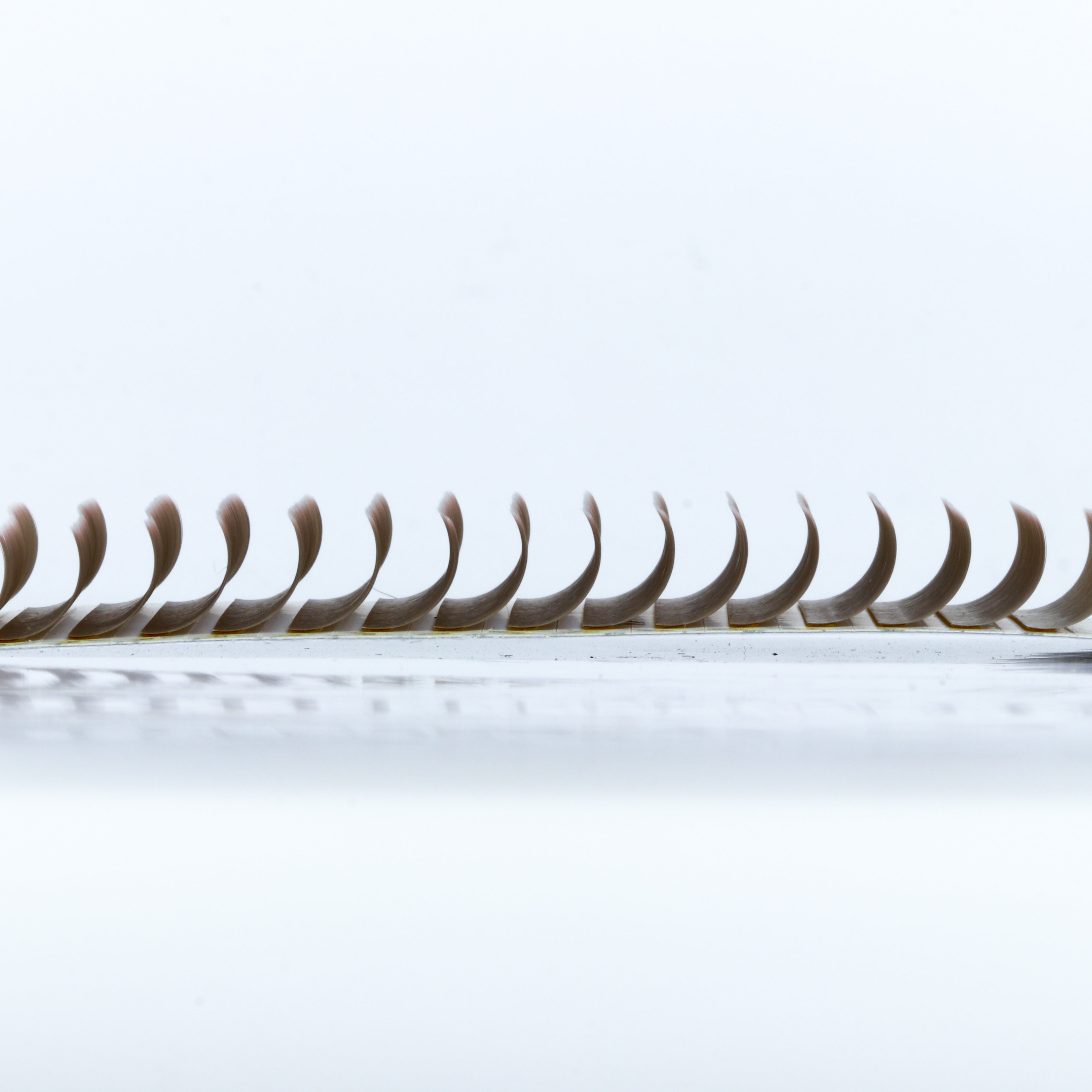 Matte Colored Lashes - Dusty Straw