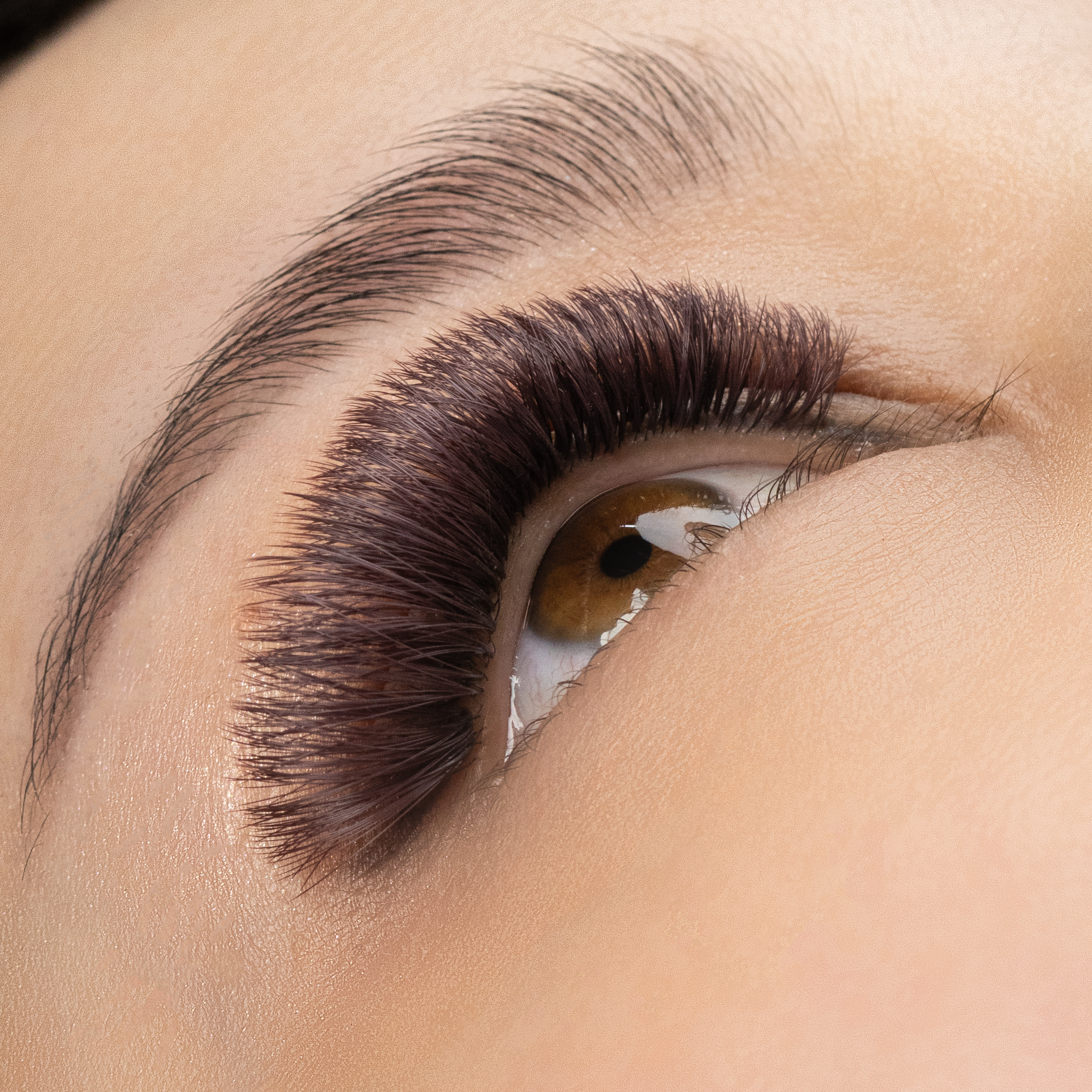 Matte Brown Lashes - Cocoa Plum