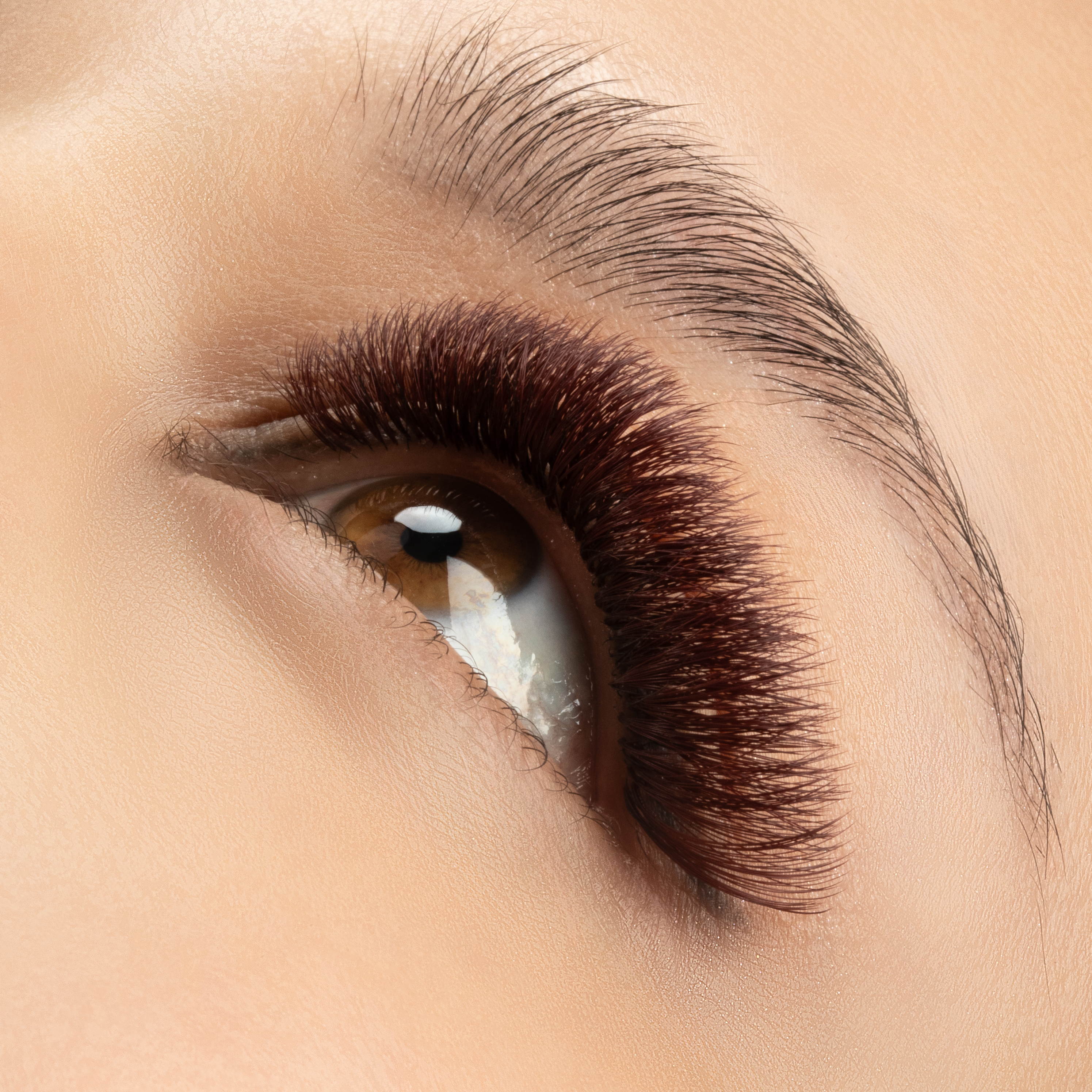 Matte Brown Lashes - Faded Mahogany