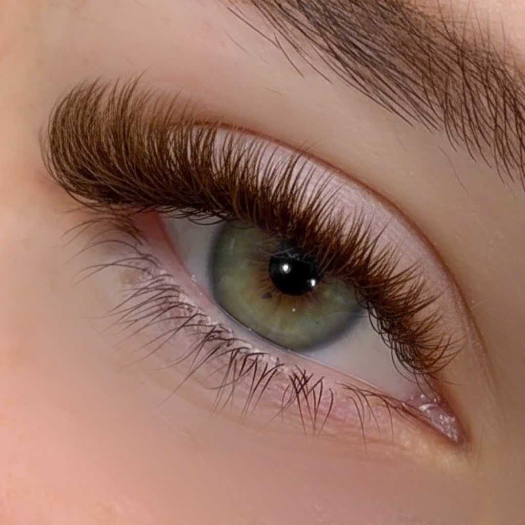 Matte Brown Lashes - Hot Mocha