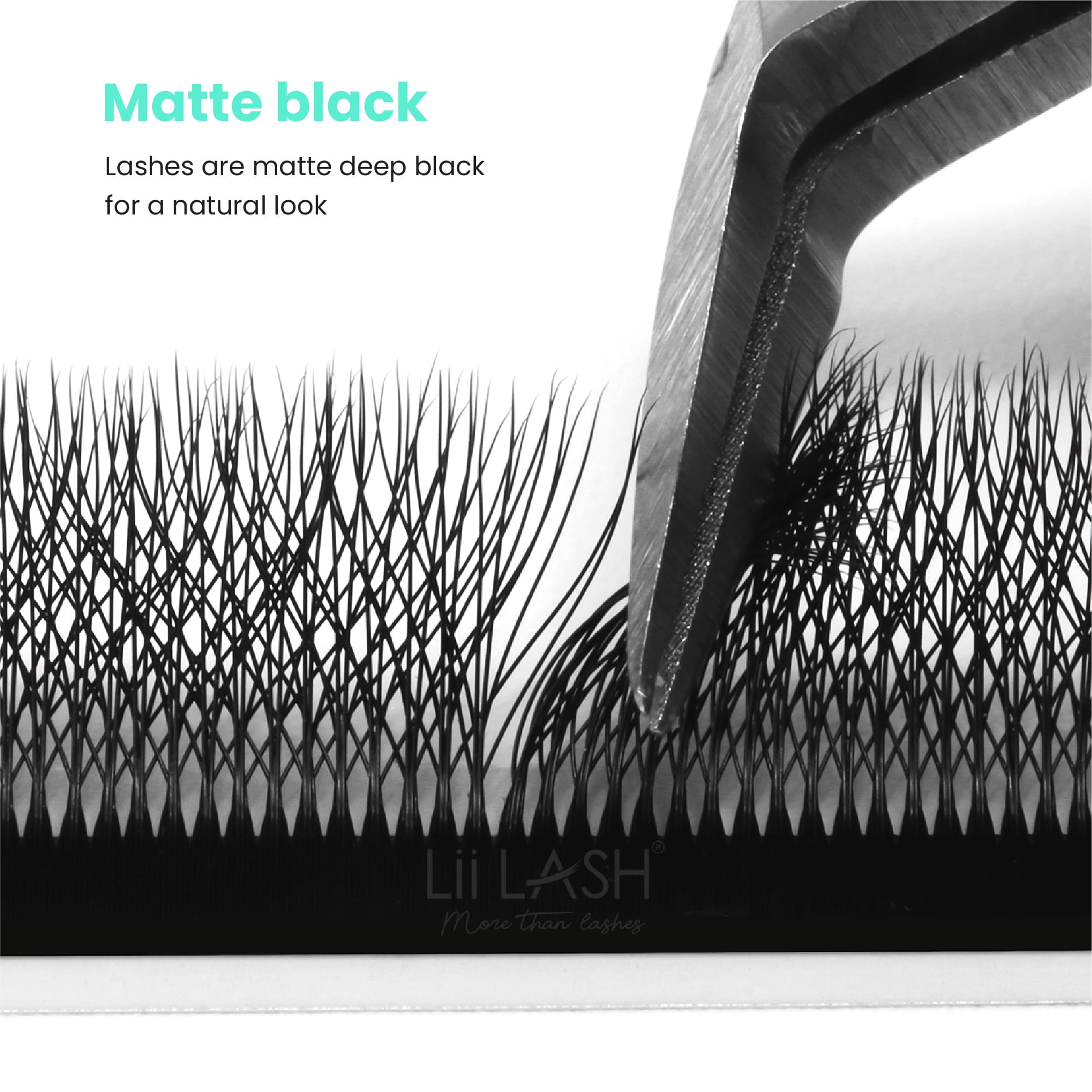 Matte-black-6D-W-Lash