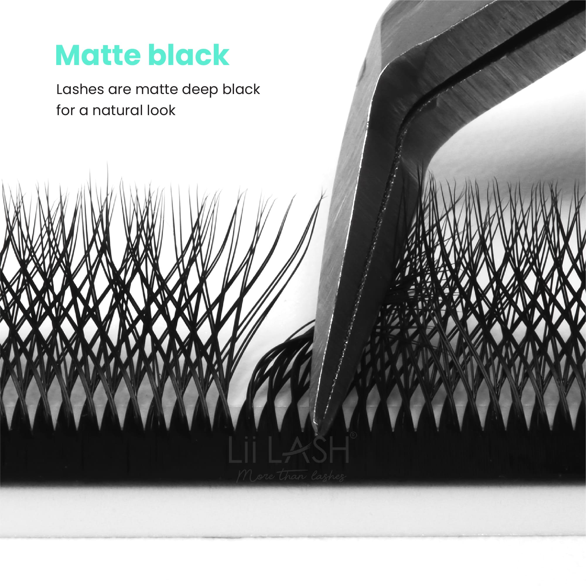 Matte-black-Double-4D-W-Lash