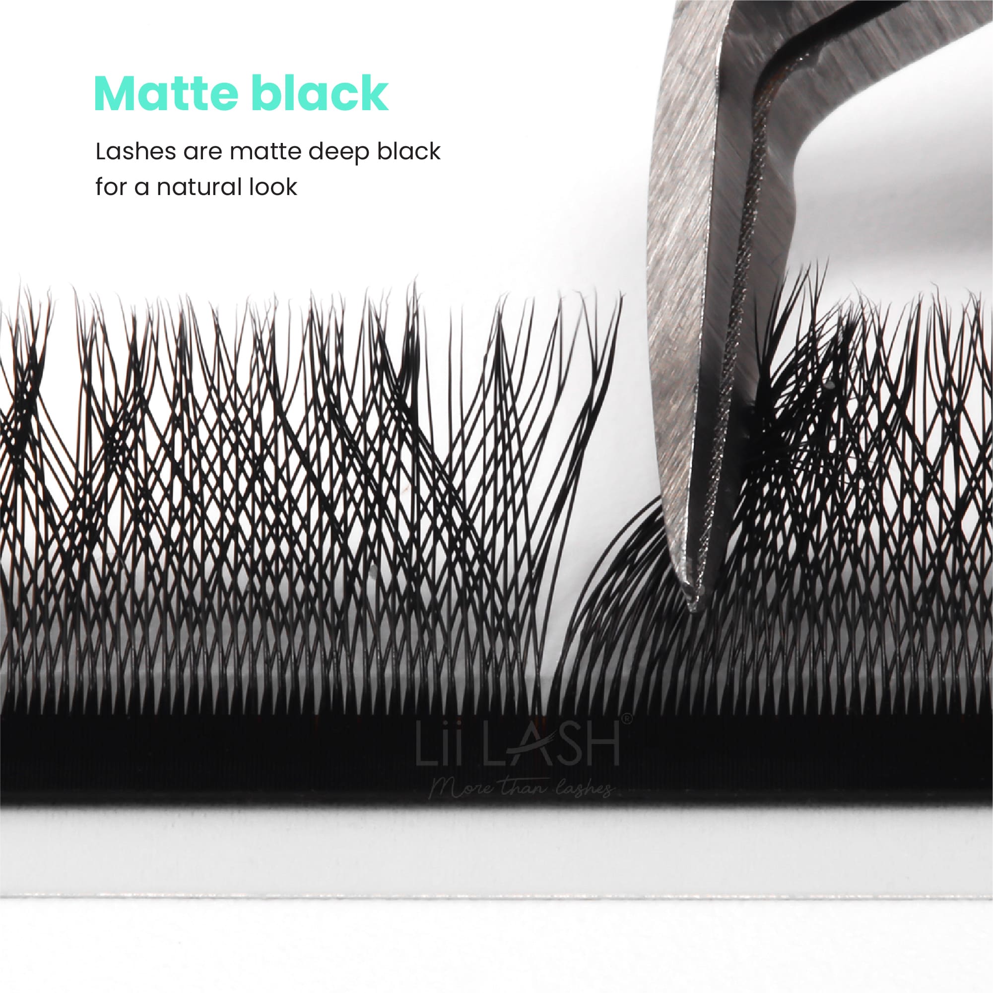 Matte black 3D W eyelash extension