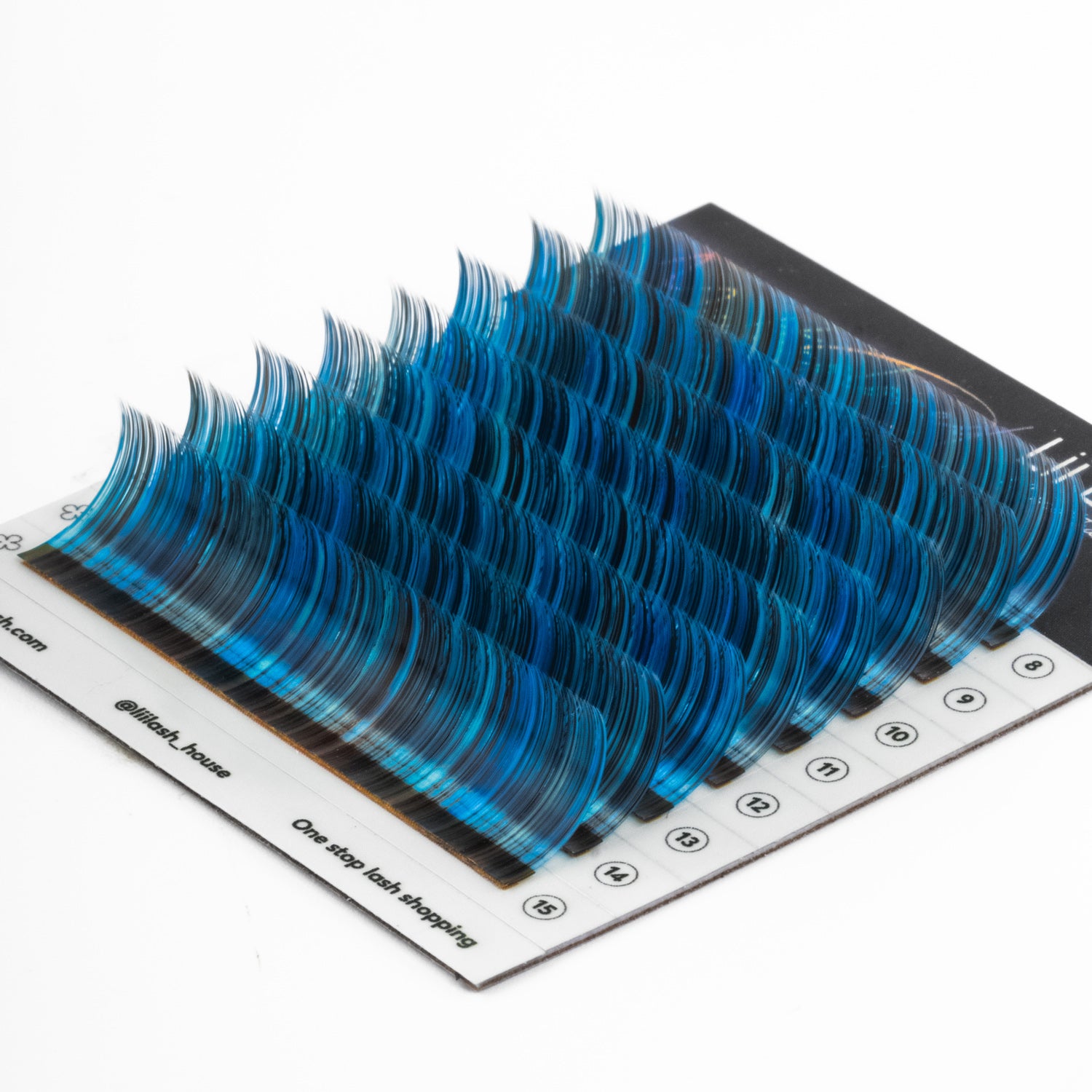 Multicolored - Rasberry Blue Lashes - 0.07mm