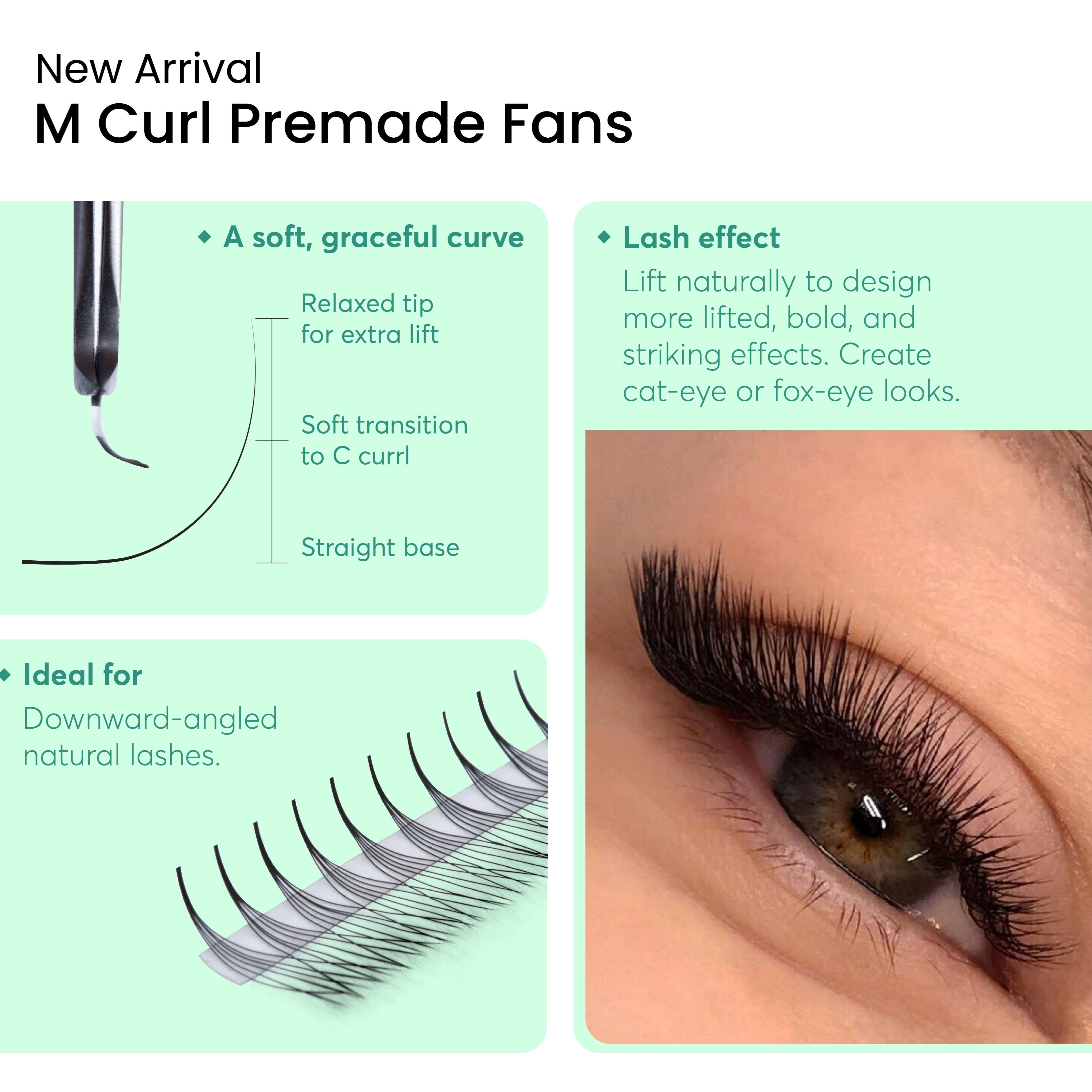 M Curl Premade Fans