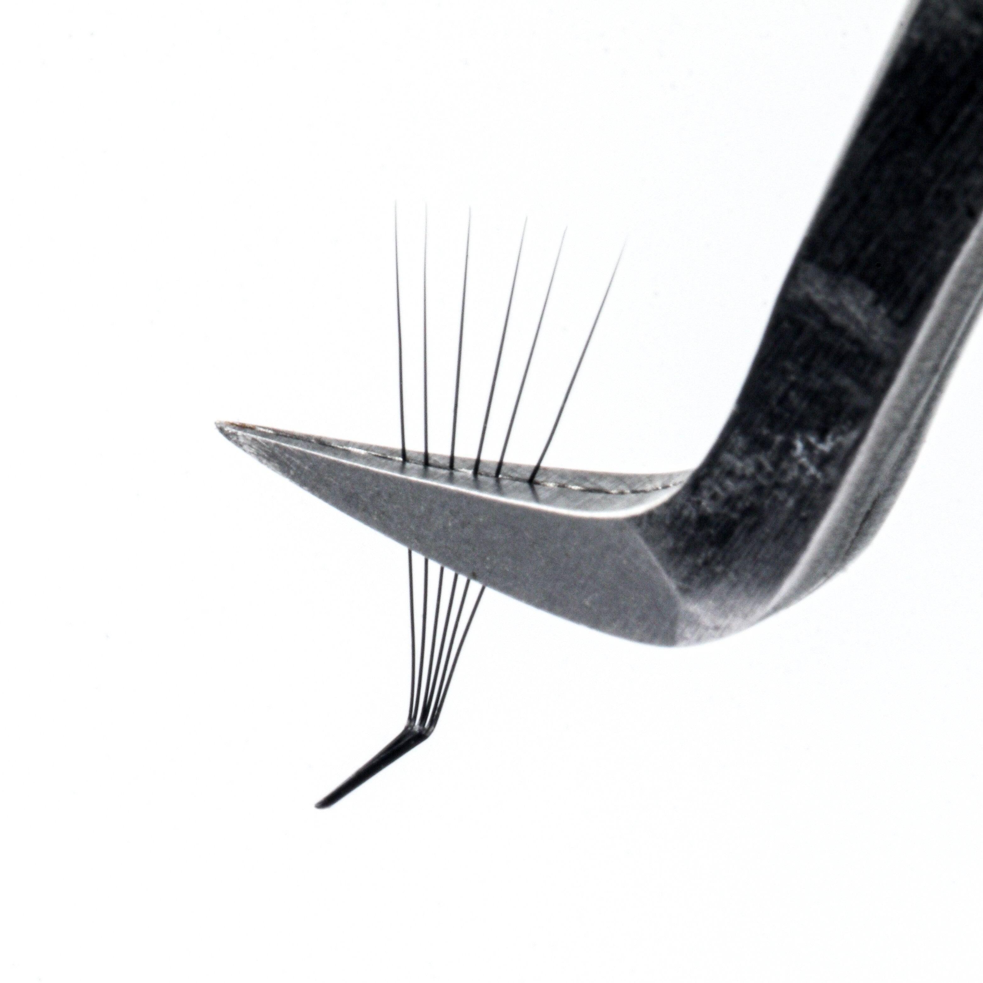 L Curl Premade Fans