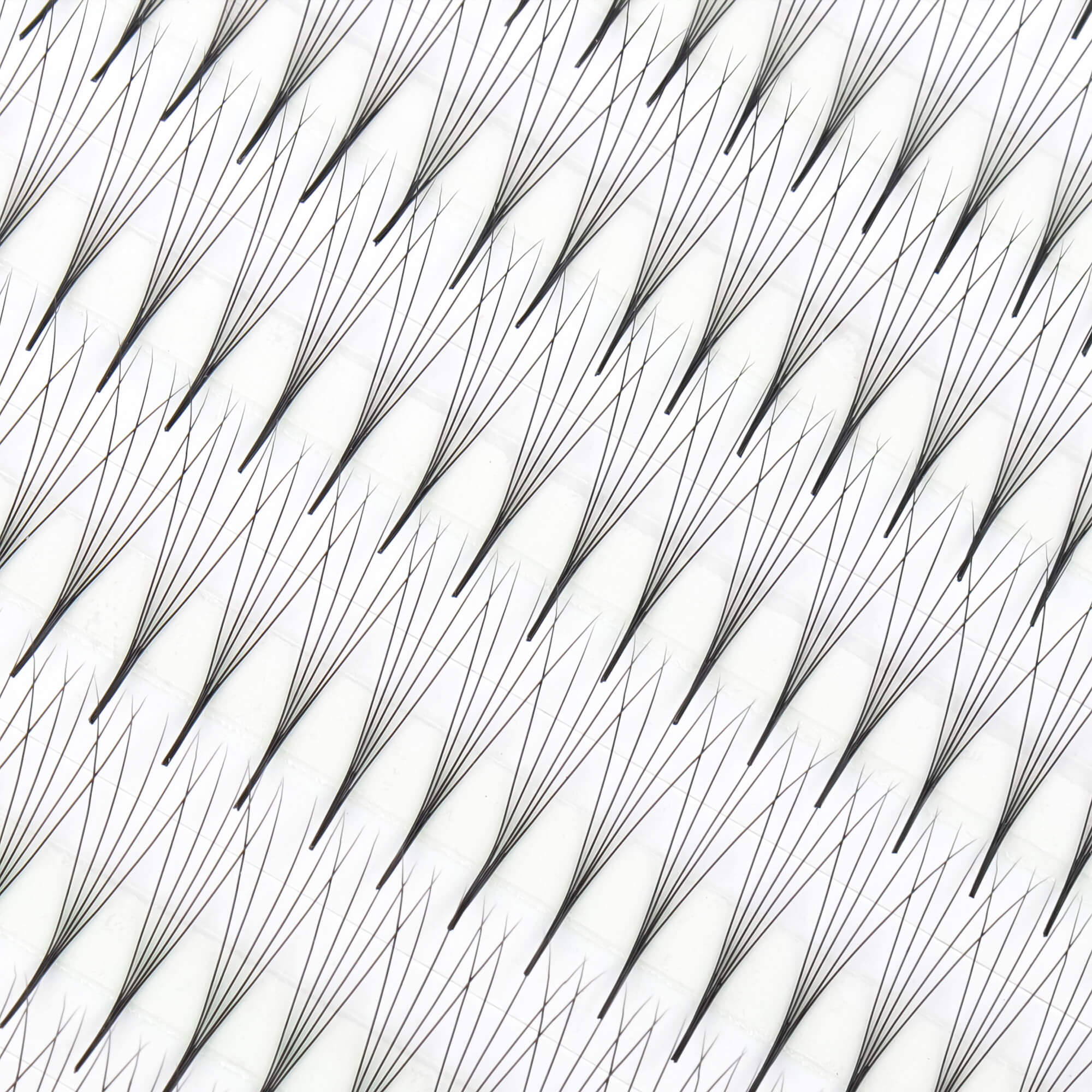 Premium super narrow premade fan - 5D - 648 fans - premade volume lash extensions