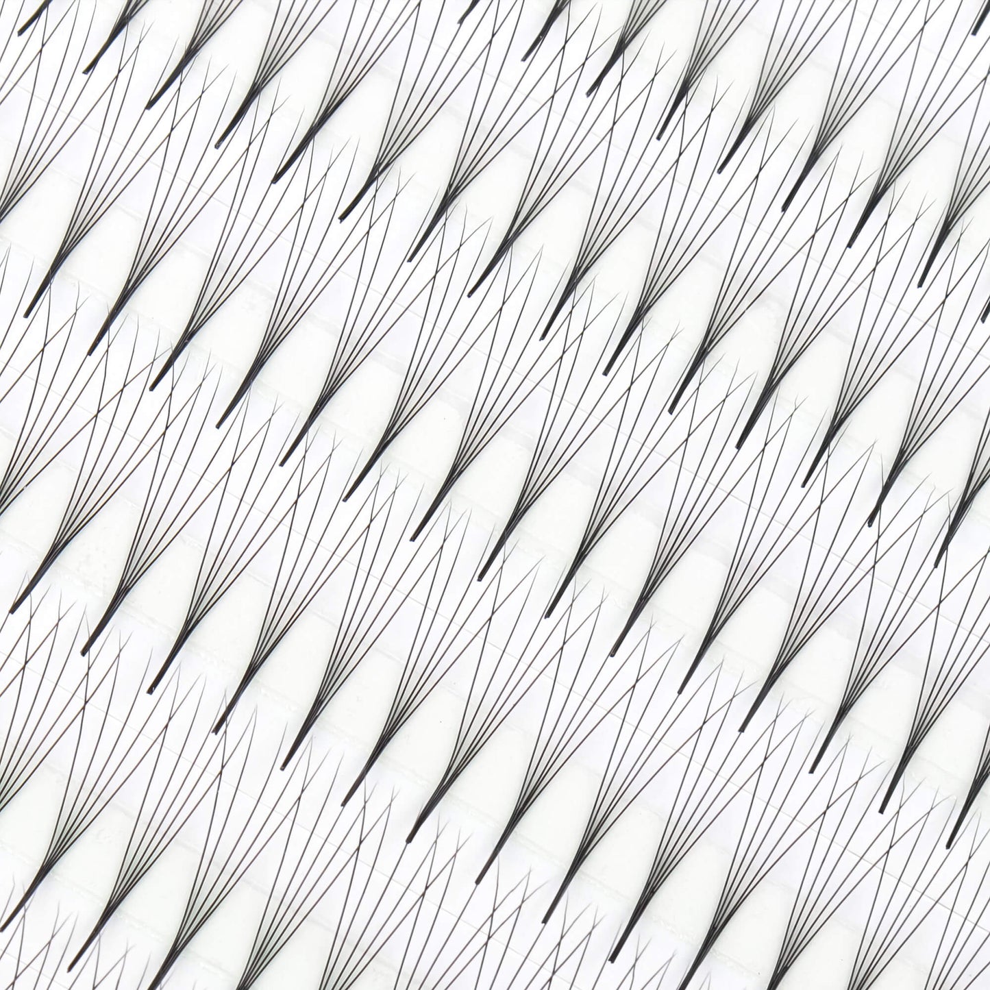 Premium super narrow premade fan - 5D - 648 fans - premade volume lash extensions