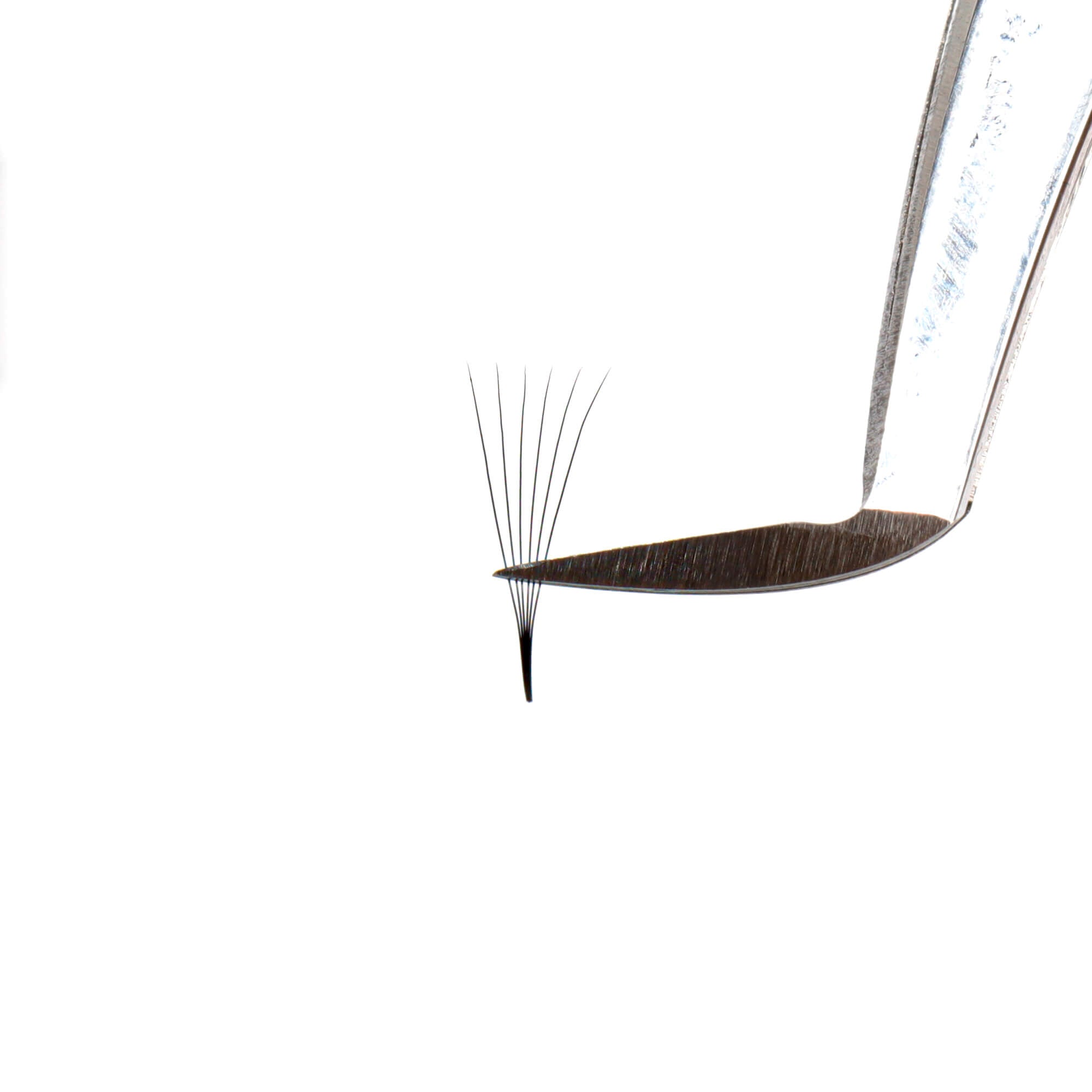 Premium super narrow premade fan - 6D - 648 fans - premade fan lash extensions