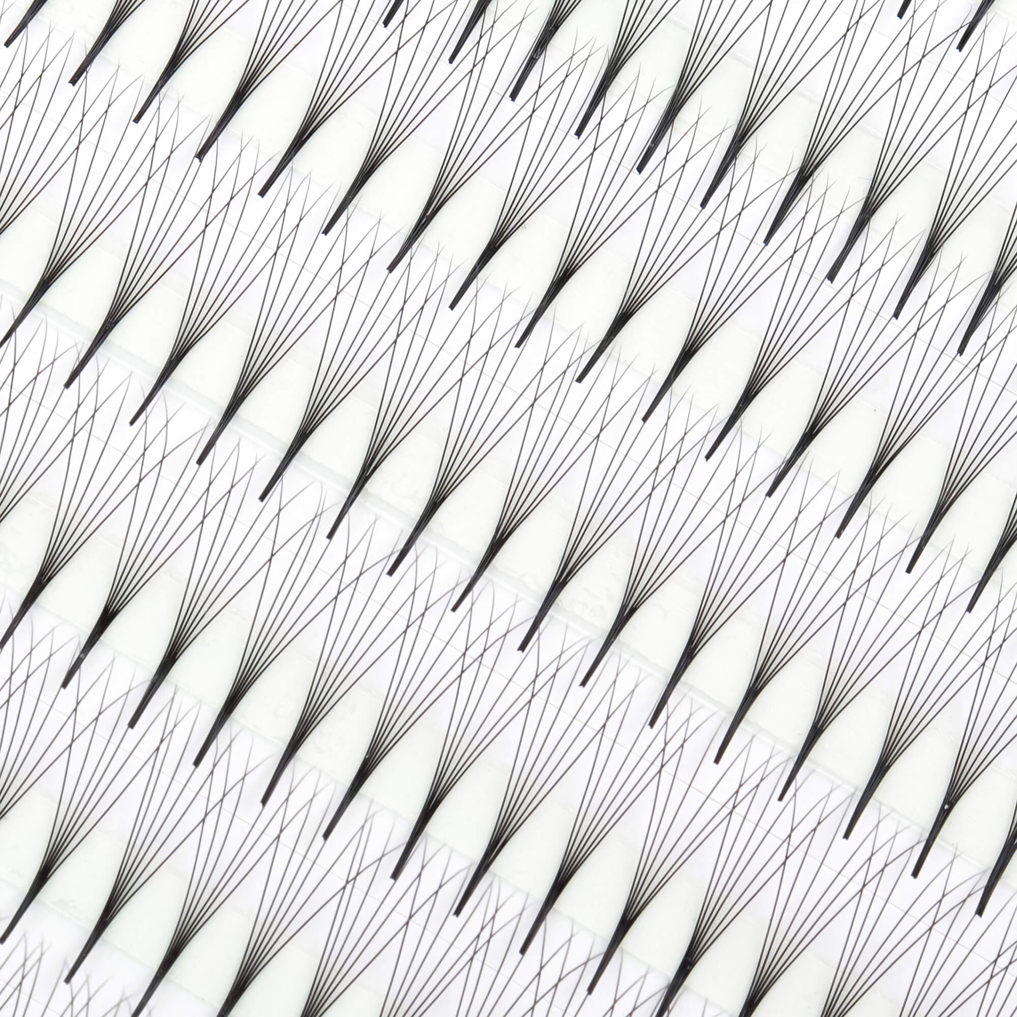 Premium super narrow premade fan - 6D - 648 fans - premade fan lash extensions