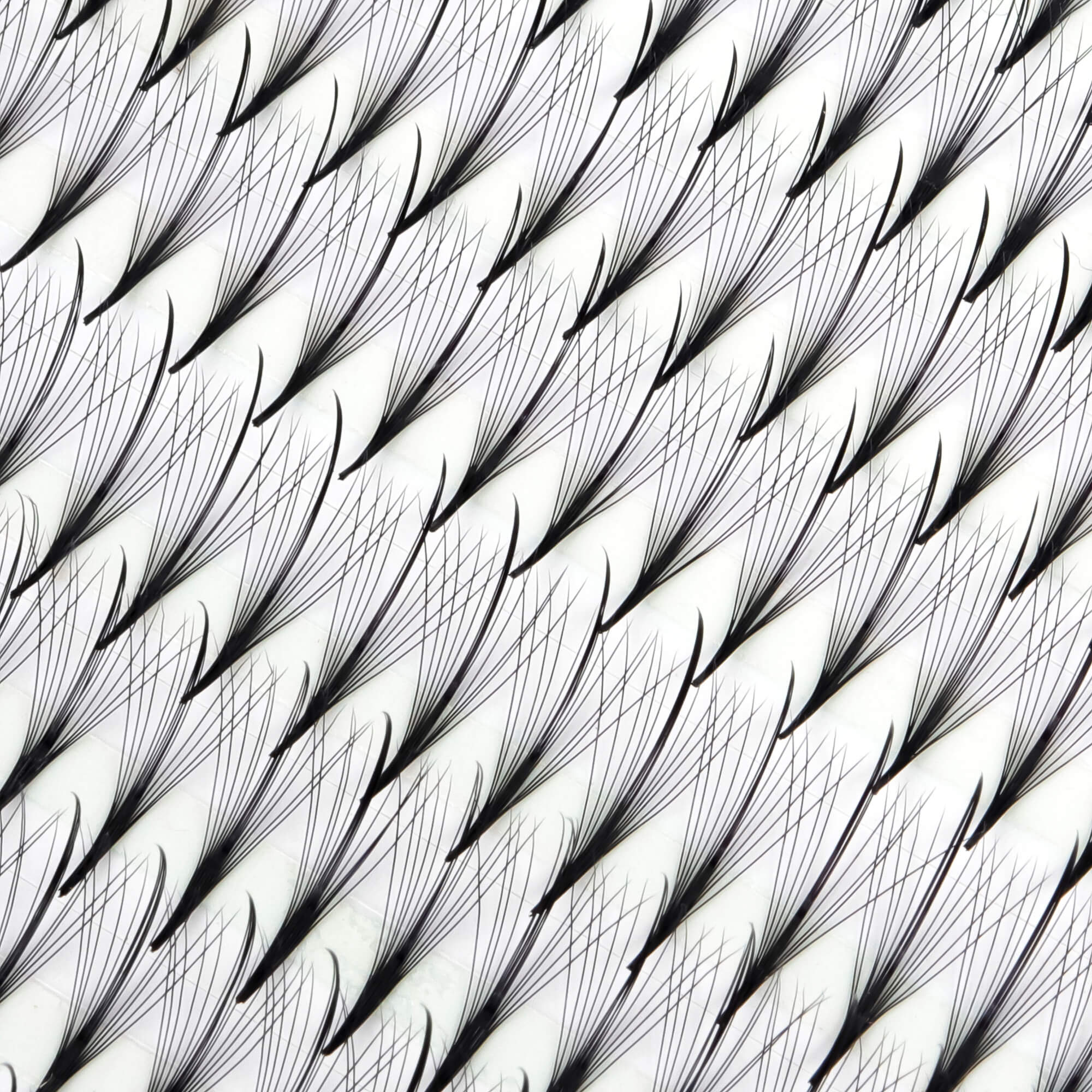 Premium wispy fan lashes - 11D - 450 fans - wispy eyelash extensions