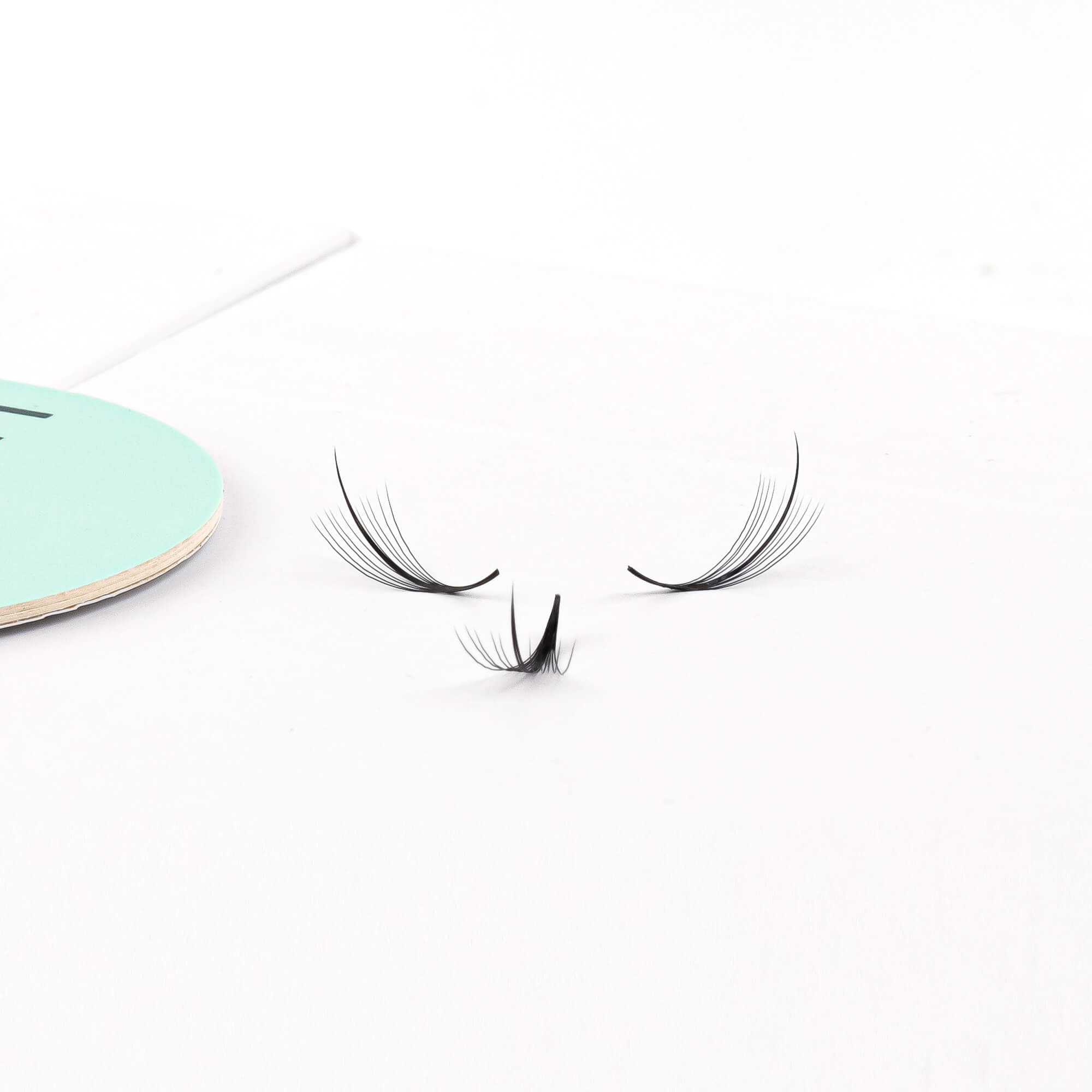 Premium wispy fan lashes - 11D - 450 fans - wispy wet set lashes