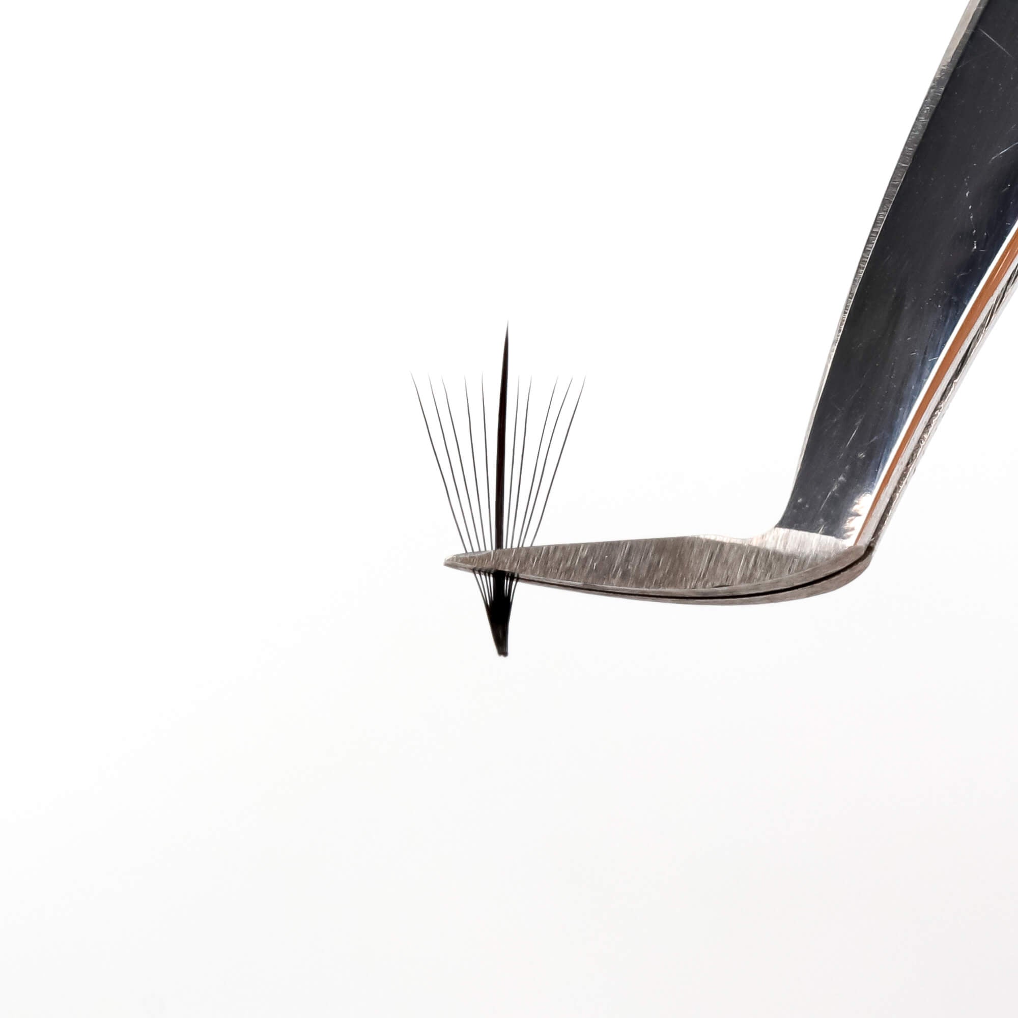 Premium wispy fan lashes - 11D - 450 fans - wispy mega volume lash extensions