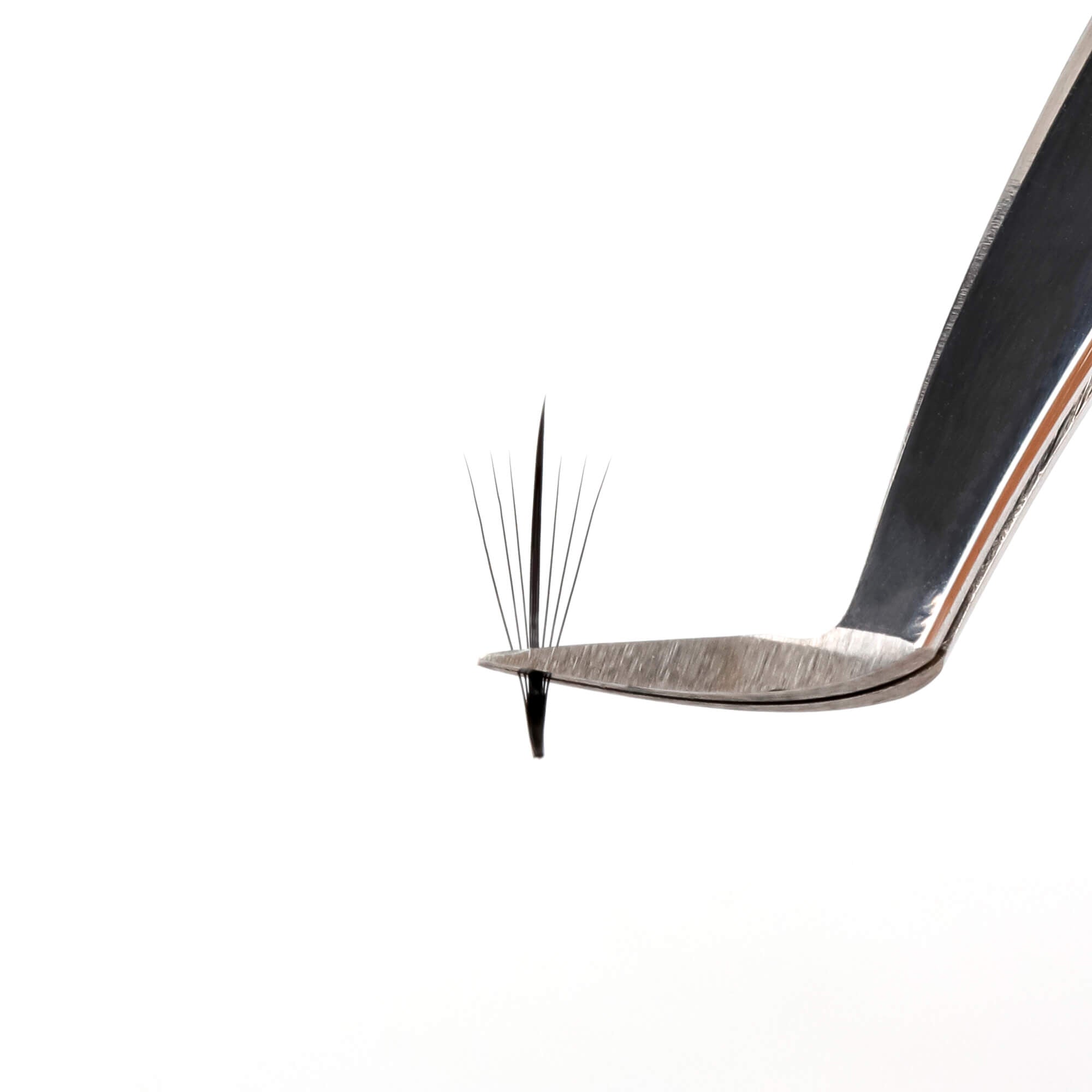 Premium wispy fan lashes - 7D - 540 fans - wispy wet look lash extensions