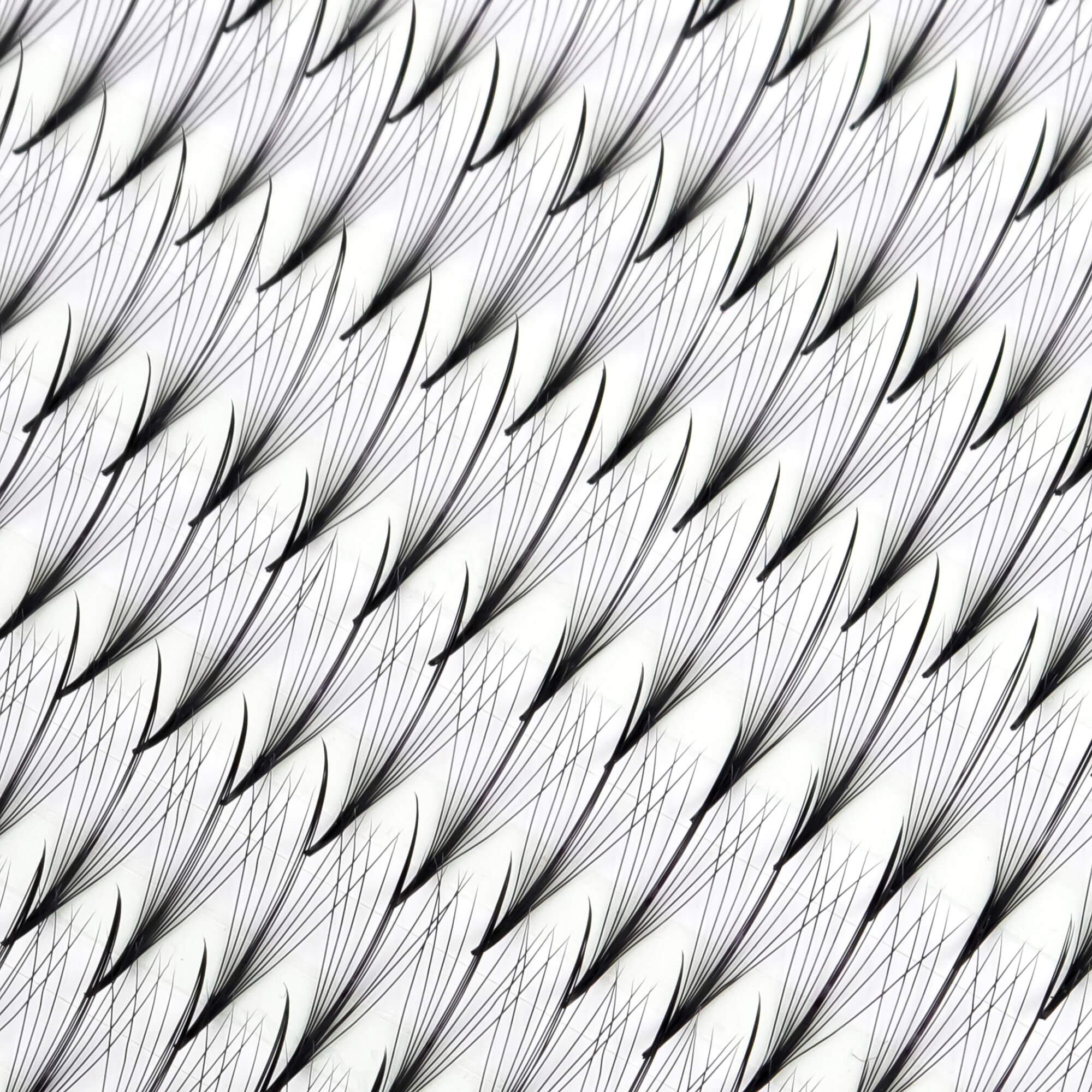 Premium wispy fan lashes - 9D - 468 fans - wispy lash extensions