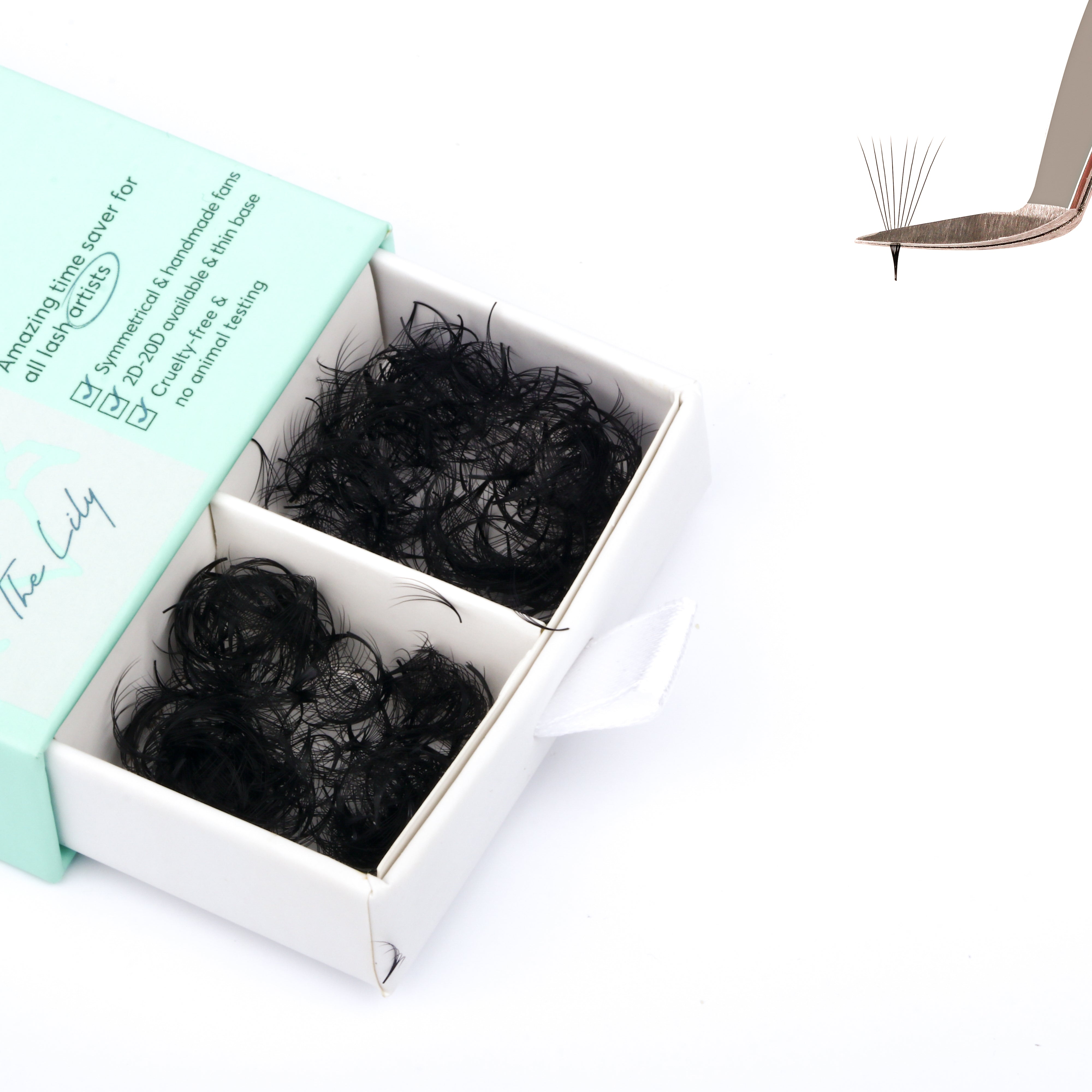 Narrow promade loose fans 6D lashes