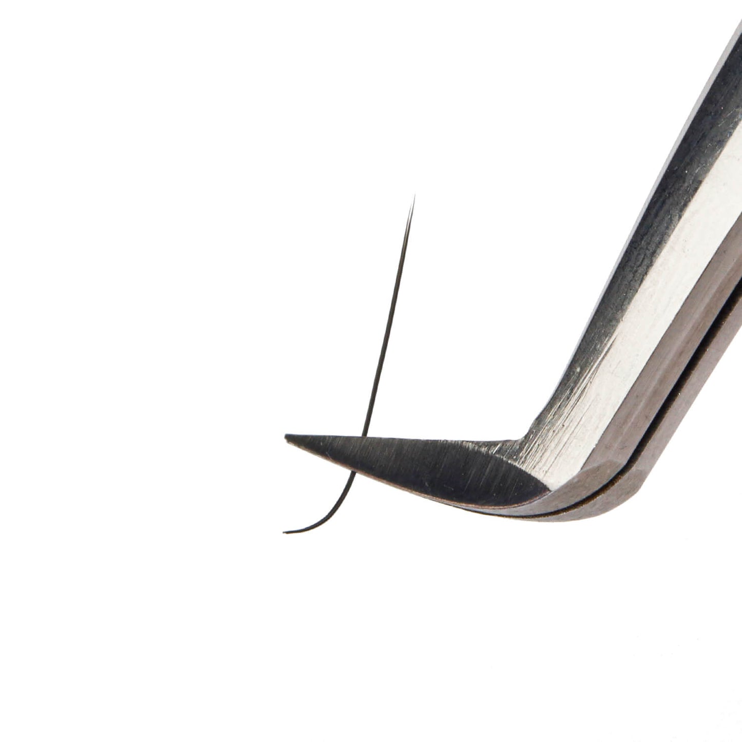 split tips flat lashes