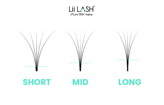 The Anatomy of Perfect Lash Fans: Did you Know?