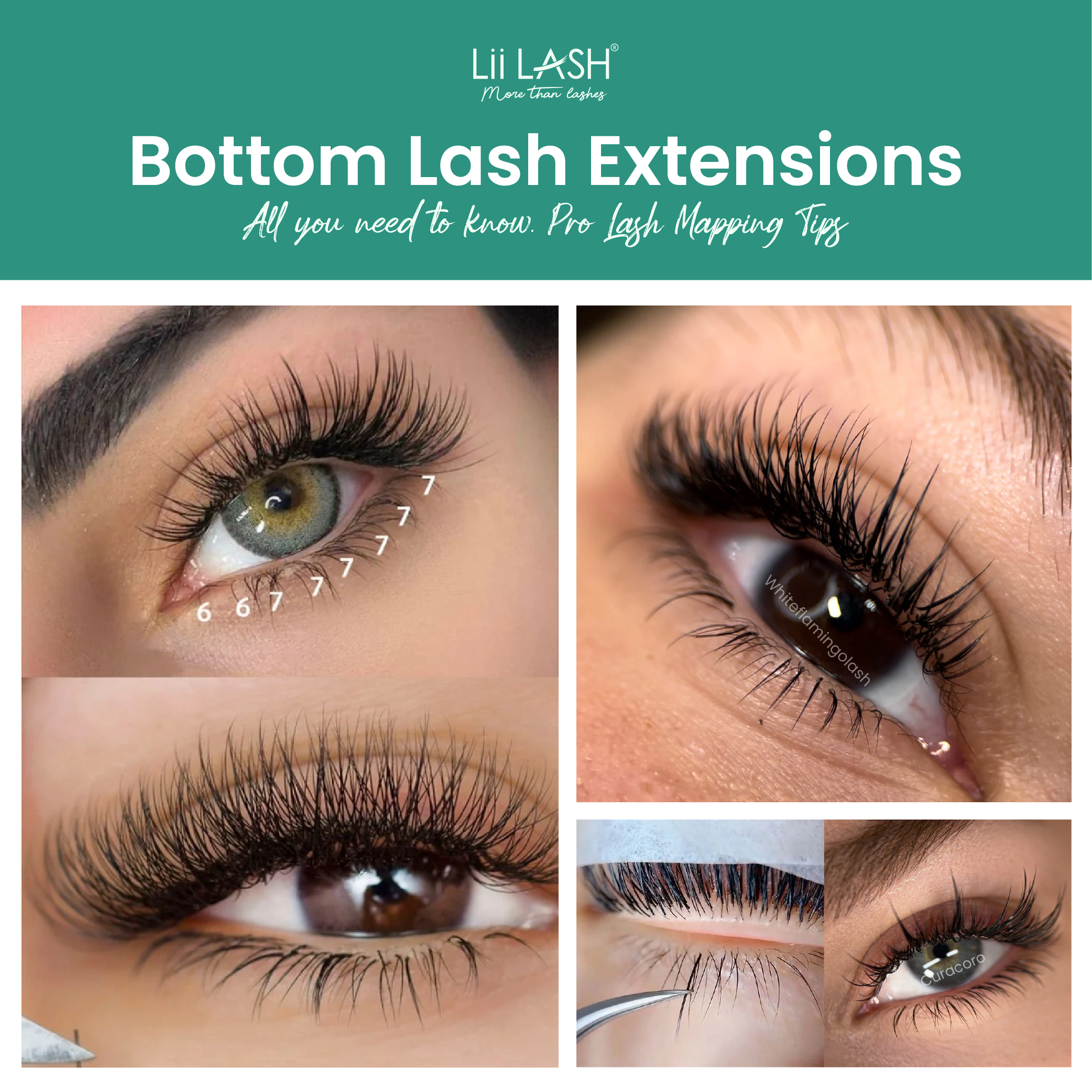 Bottom Lash Extensions: The Subtle Detail That Transforms Any Lash Set