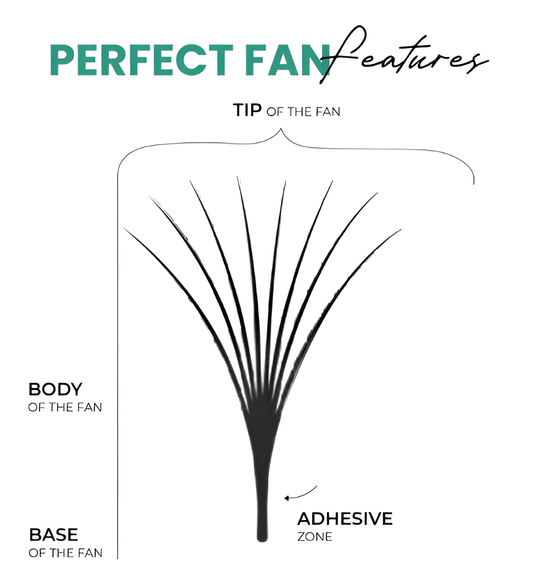 What Makes a Perfect Premade Lash Fan? Quality Standards Explained