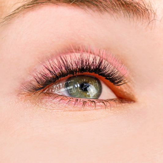 Two-Toned Lashes for Special Occasions