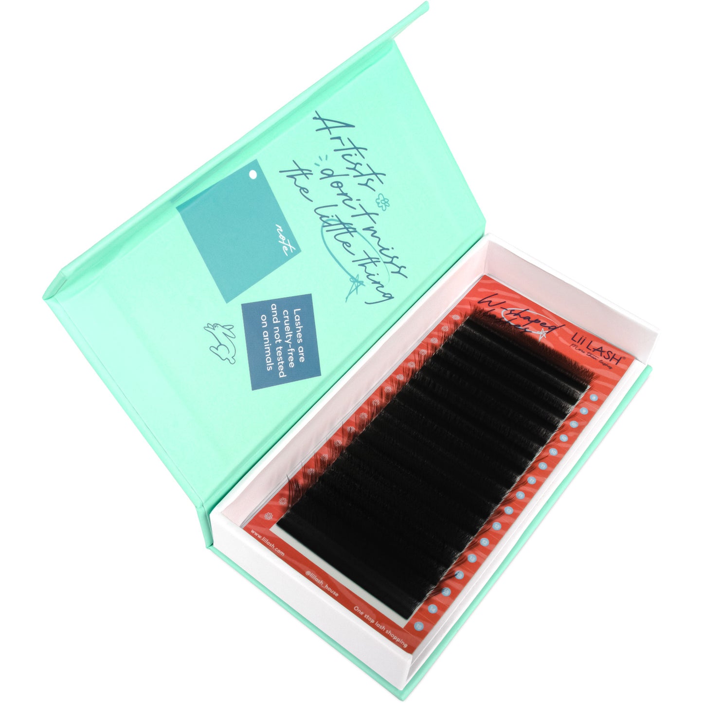 4D-W-eyelash-extension